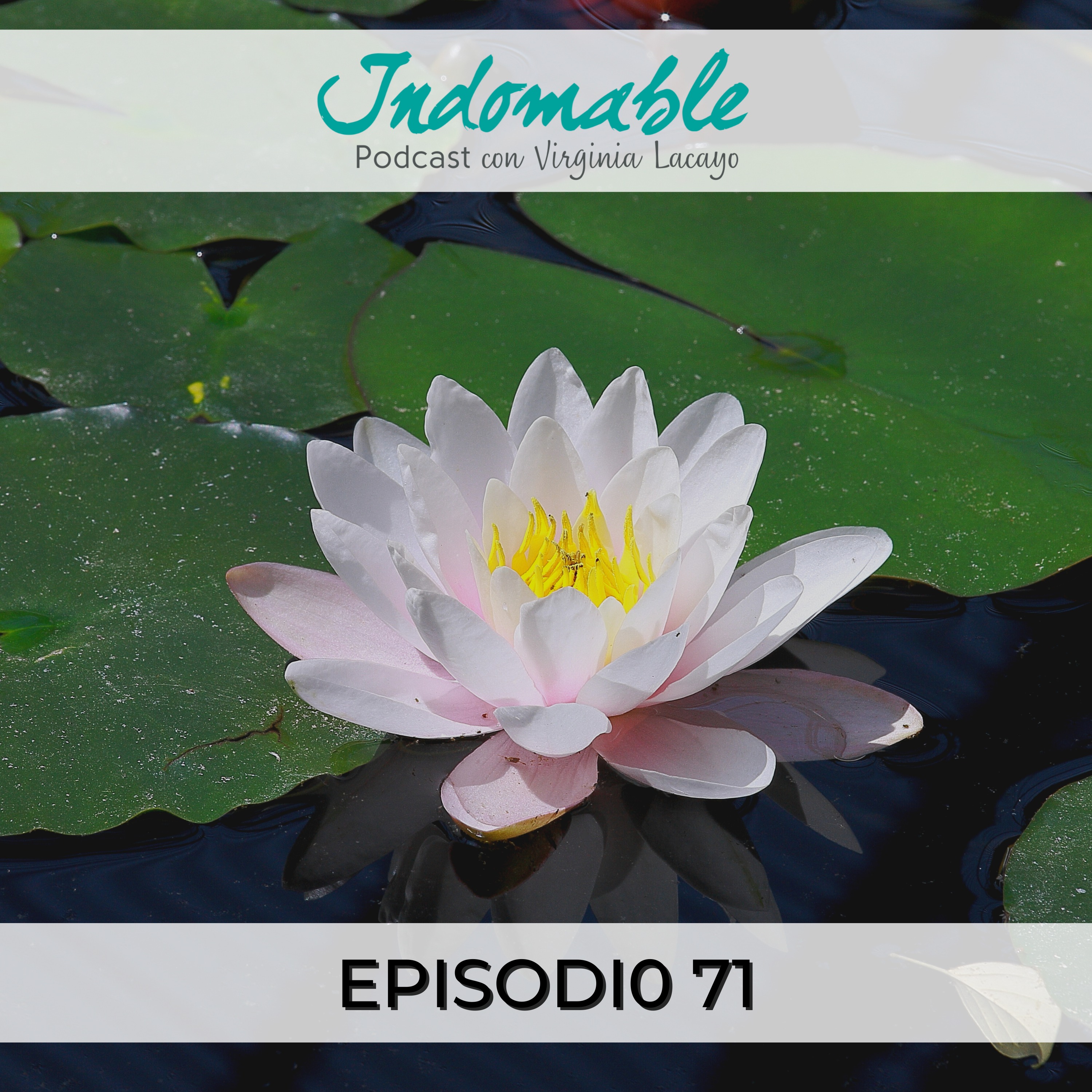 Indomable - Podcast con Virginia Lacayo