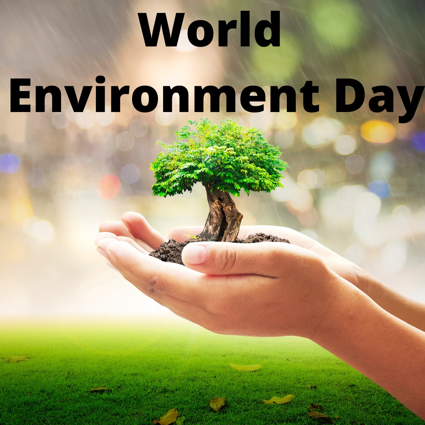 Is world making enough efforts to save the Environment? | World Environment Day | UPSC GS3 episode artwork
