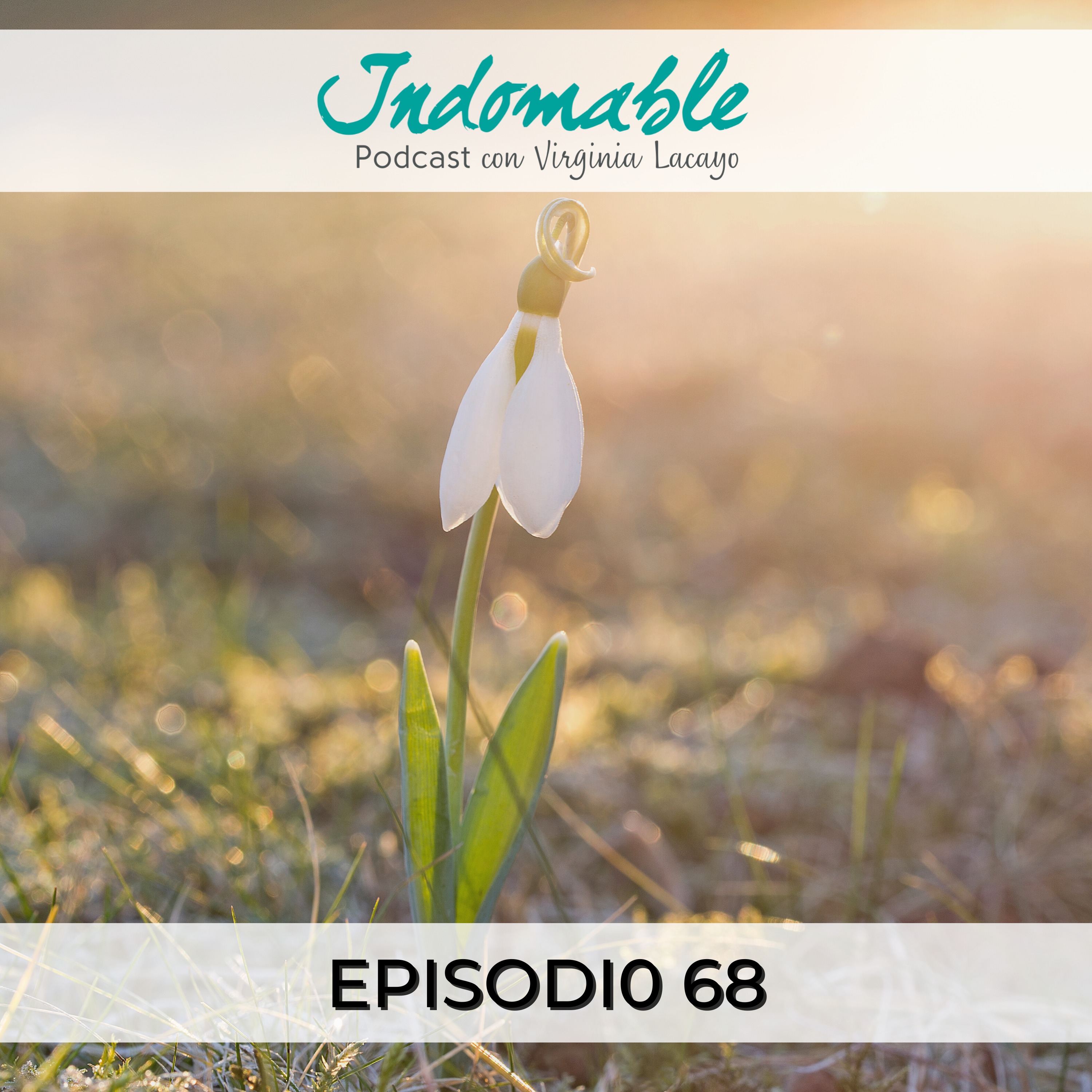 Indomable - Podcast con Virginia Lacayo