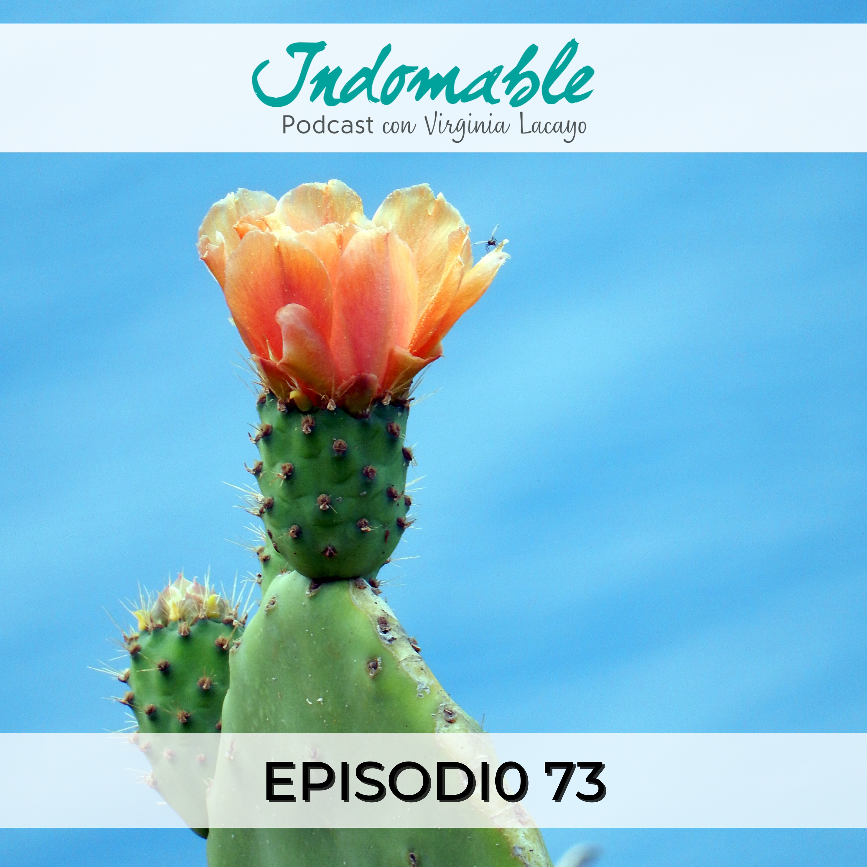 Indomable - Podcast con Virginia Lacayo