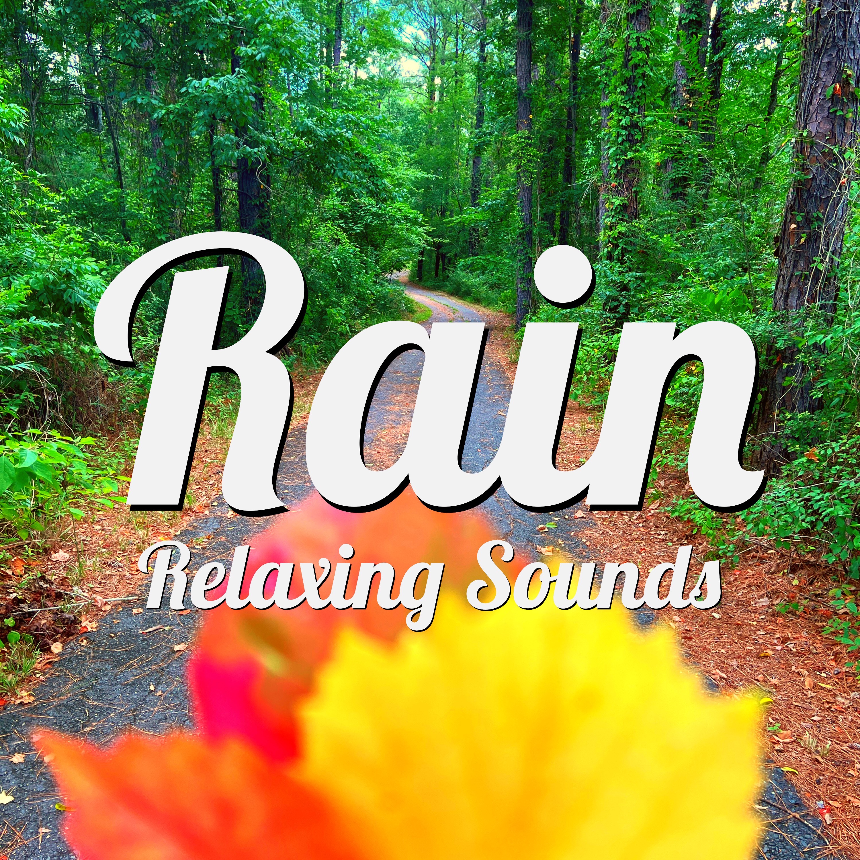 1 Hour Rain-no loops or fades episode artwork