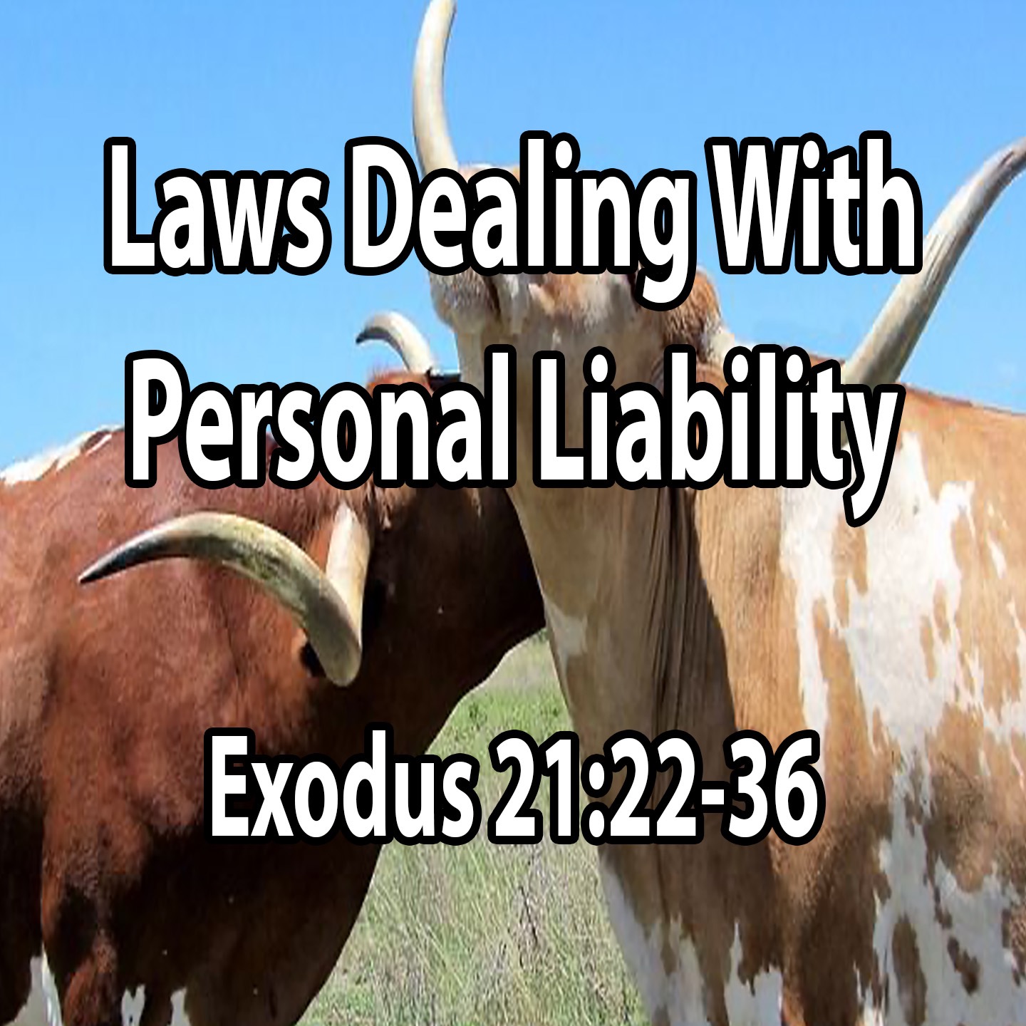 Laws Dealing With Personal Liability - Exodus Chapter 21:22-36 episode artwork