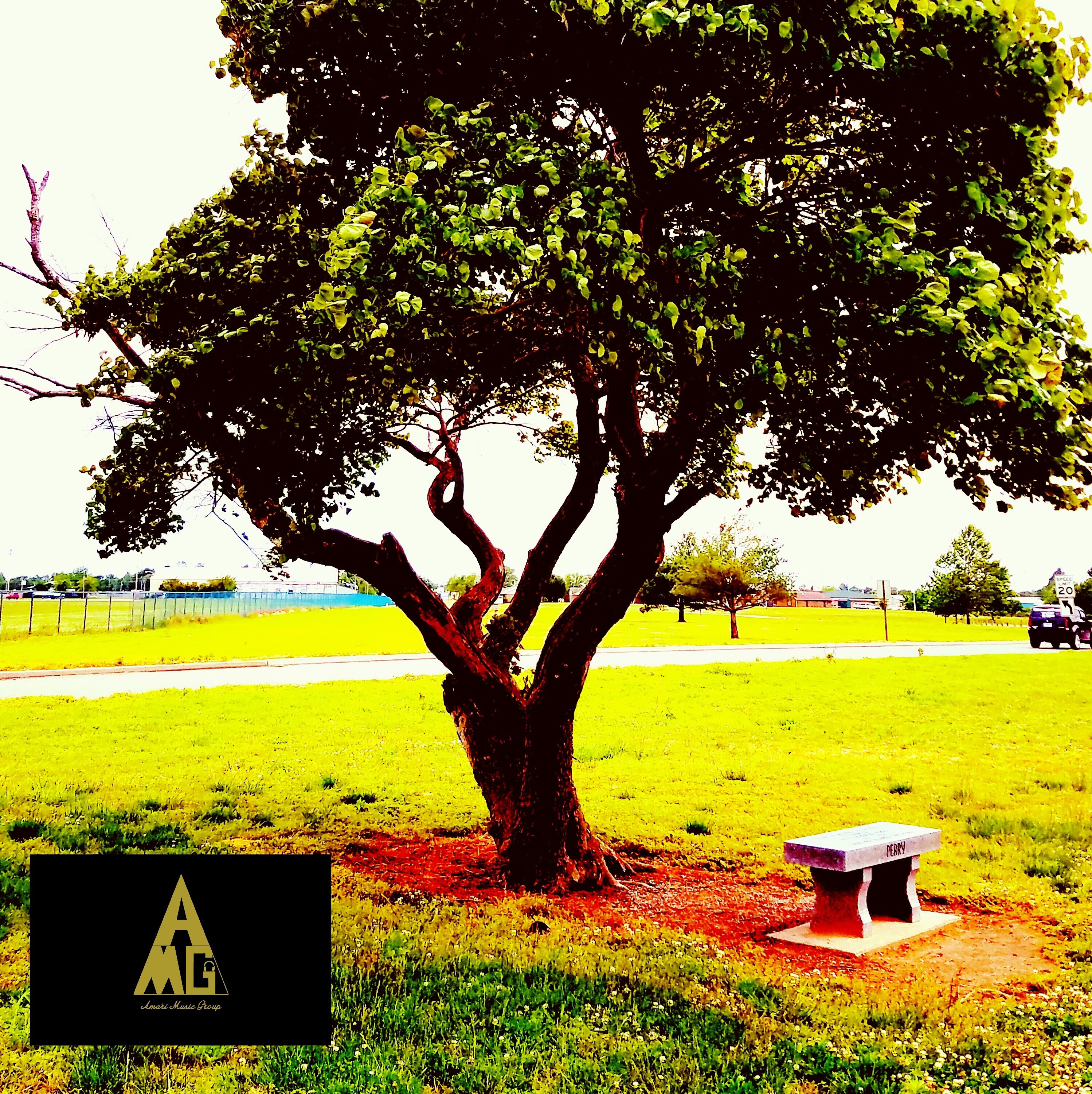 Audio Player Image
