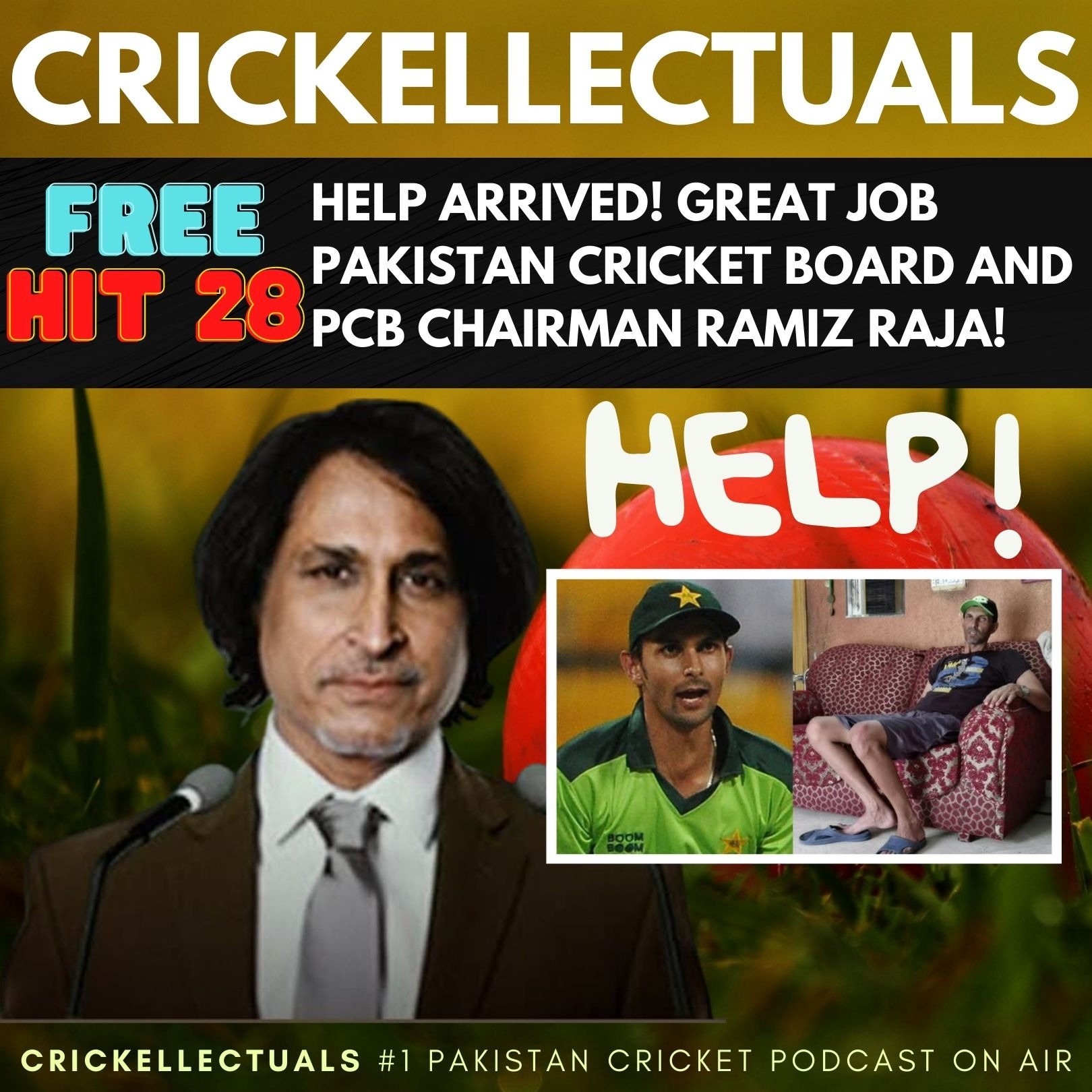 Crickellectuals A Pakistan Cricket Podcast