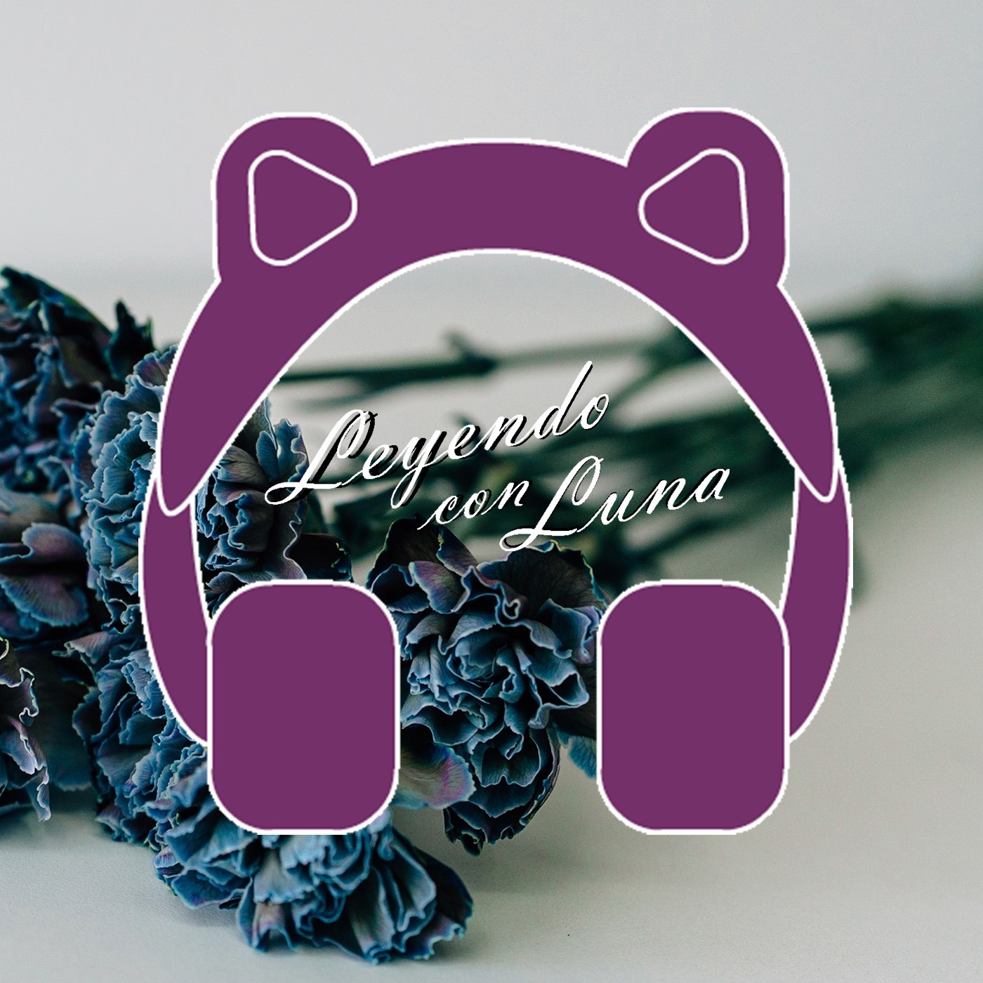 Audio Player Image