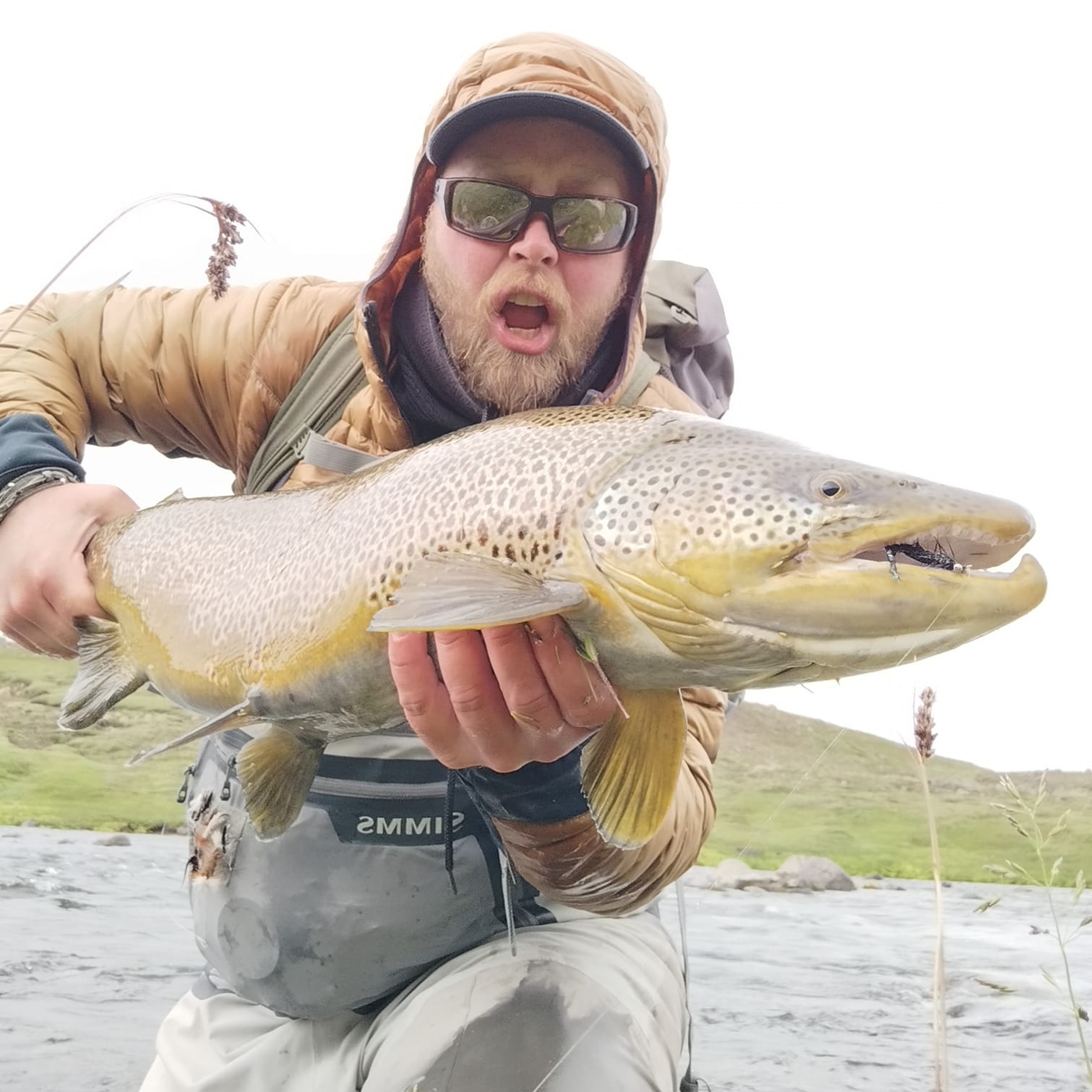 Dagbók urriða - Truflaðir veiðimenn - Áskrift.