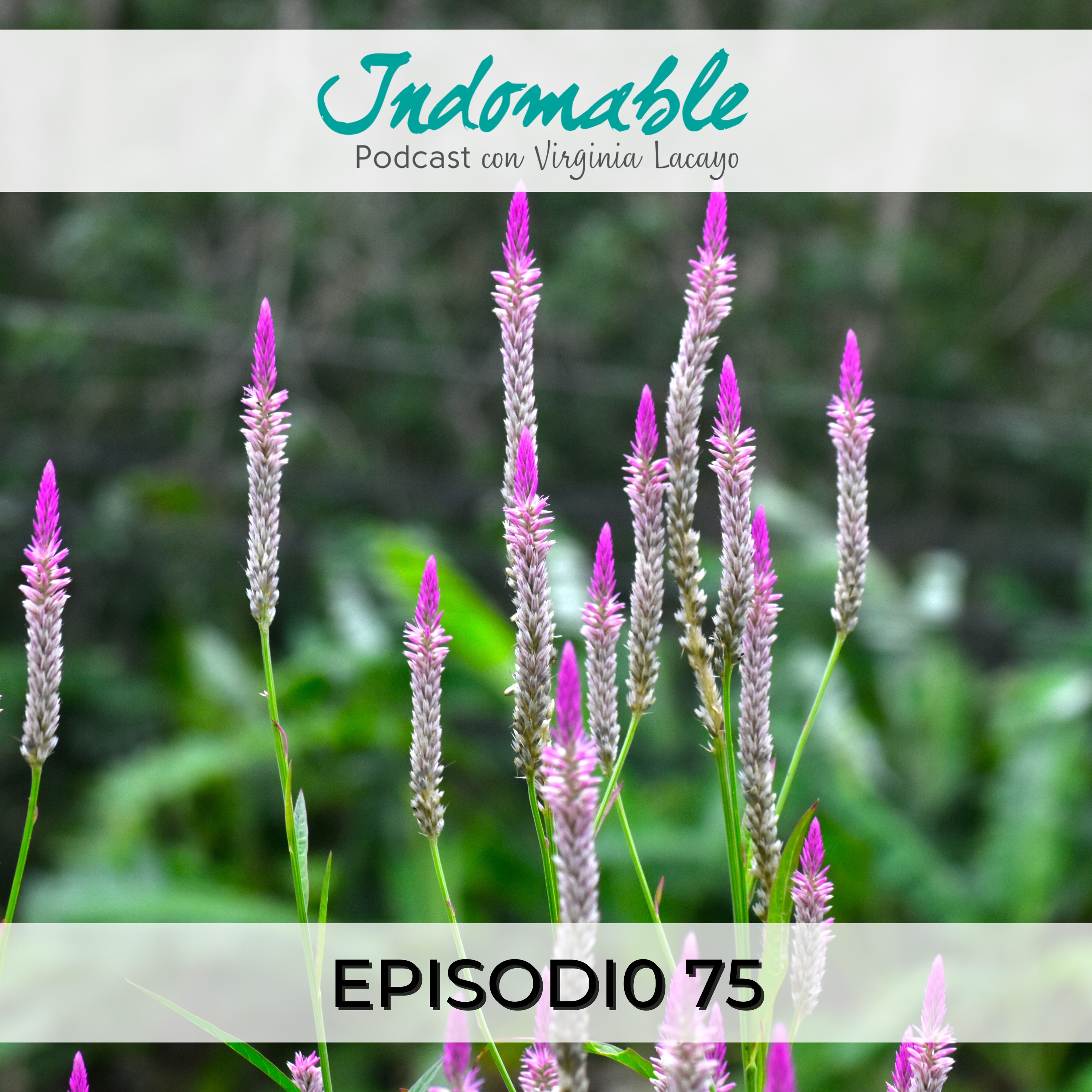 Indomable - Podcast con Virginia Lacayo