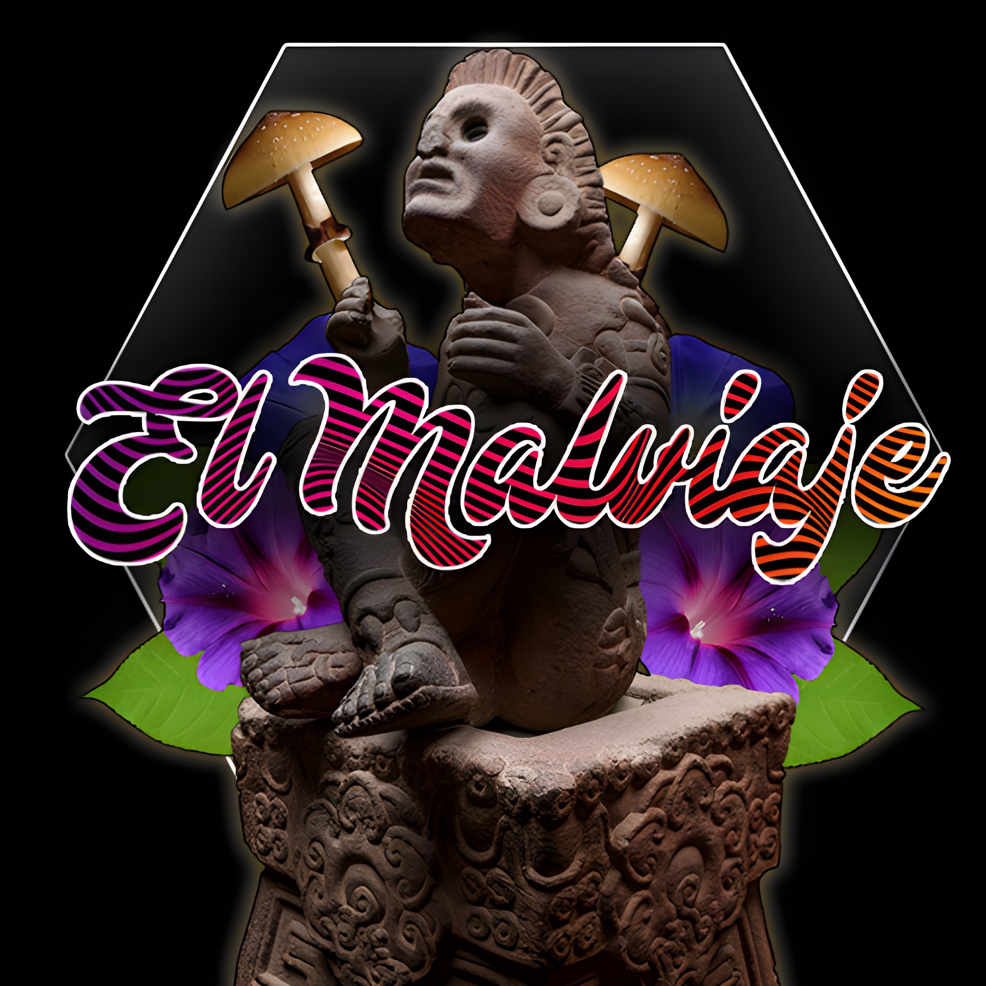 Audio Player Image