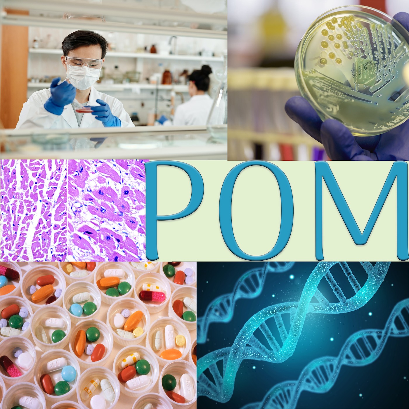 1.1 Foundation Phase: Principles Of Medicine