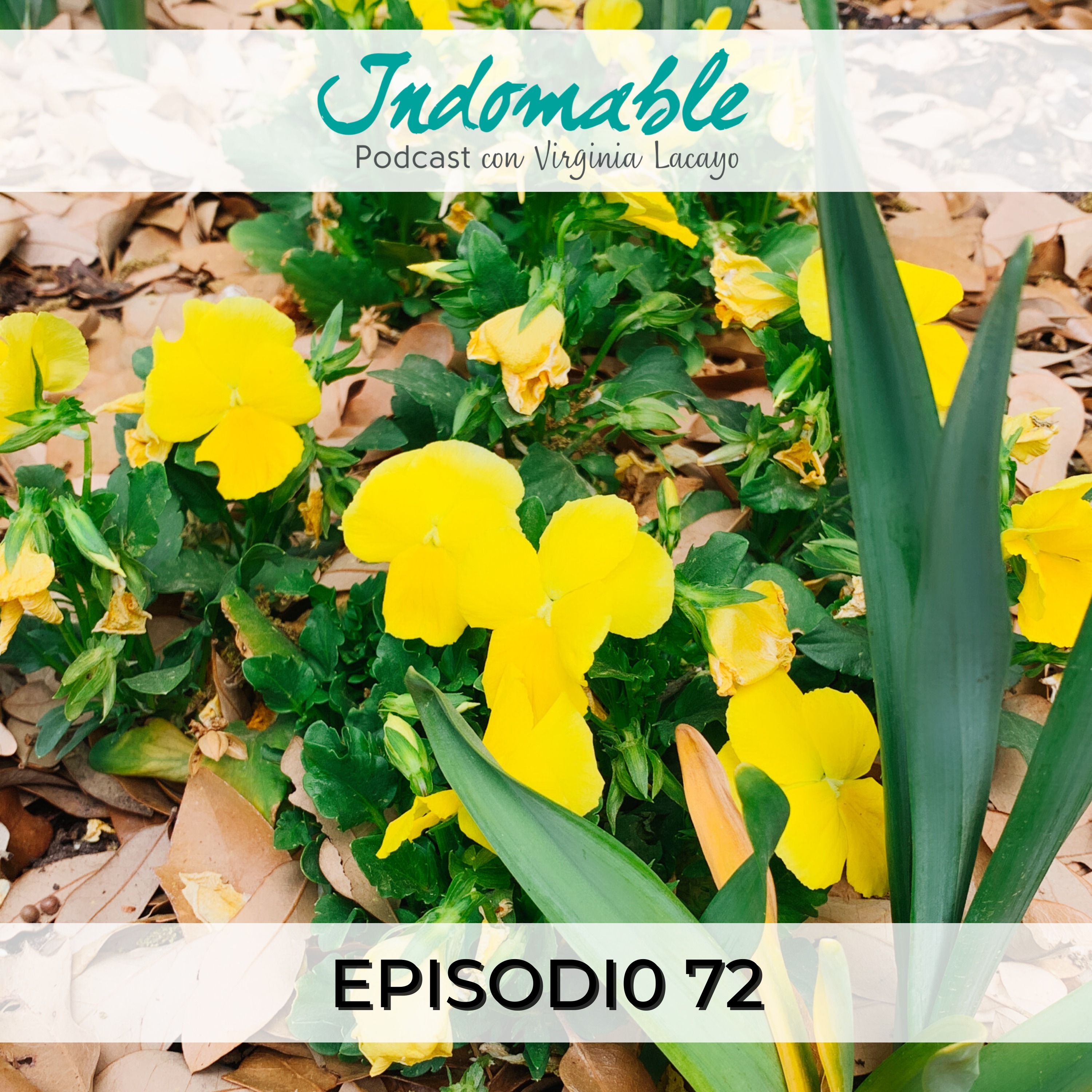 Indomable - Podcast con Virginia Lacayo