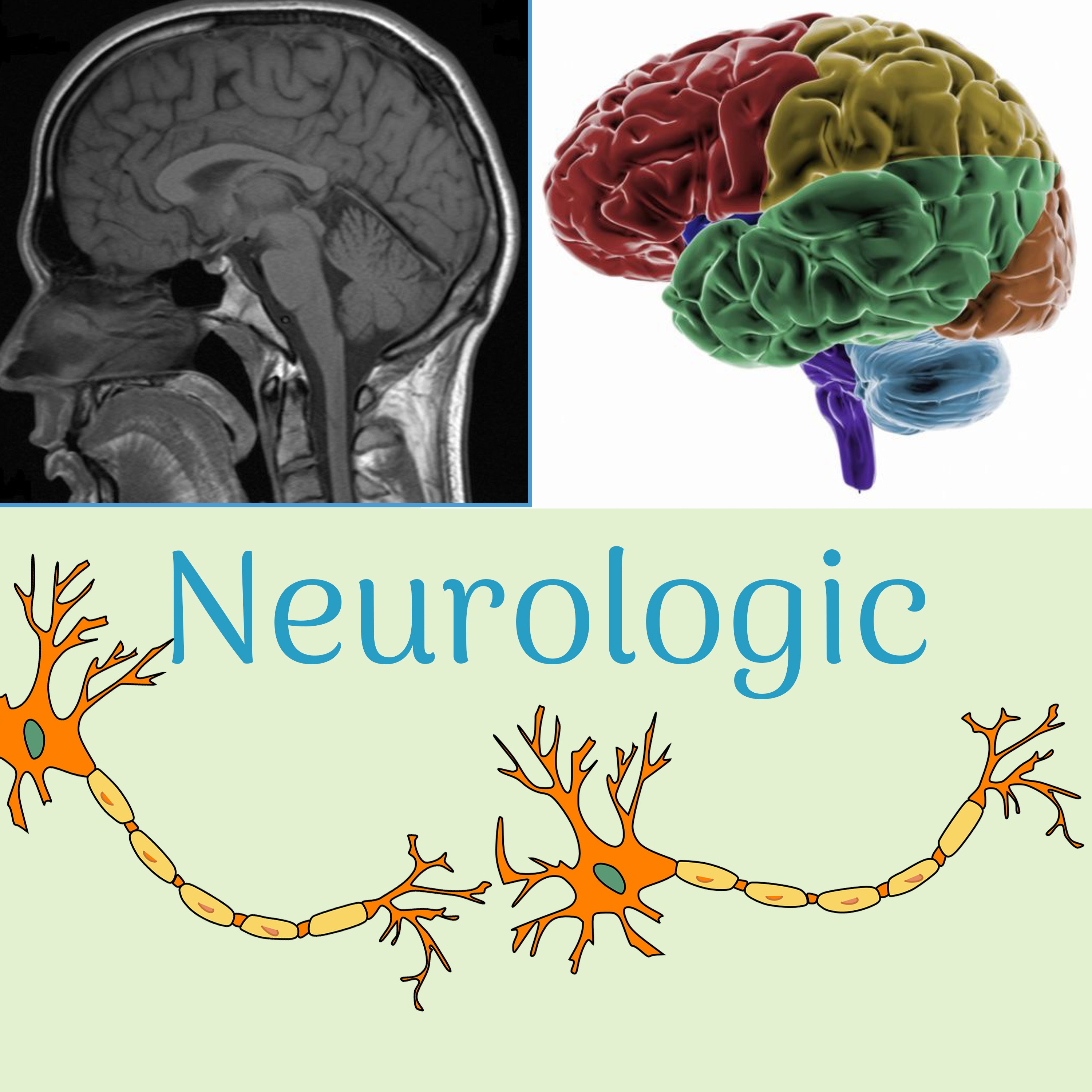 1.5 Foundation Phase: Neurologic