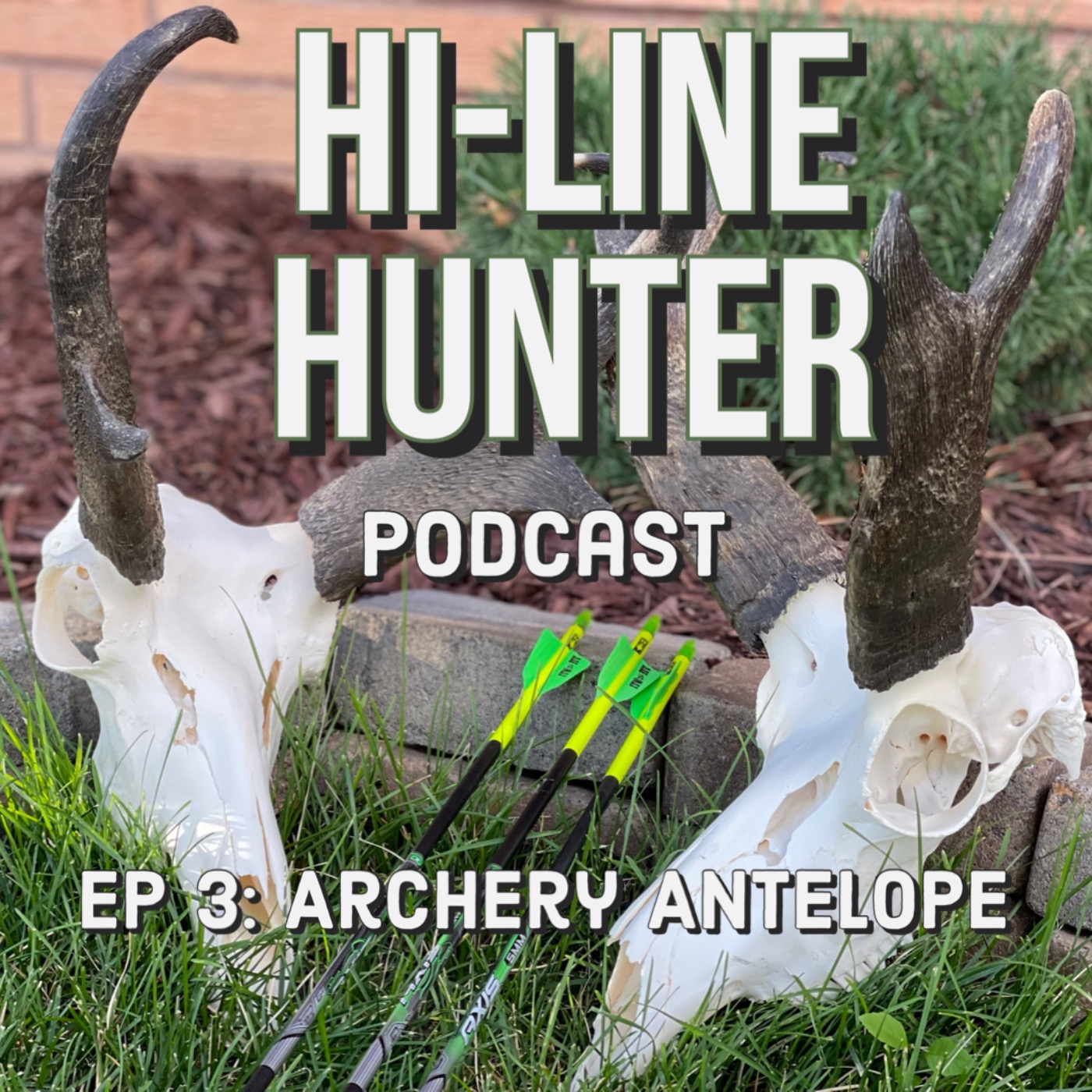 Episode 3: Archery Antelope