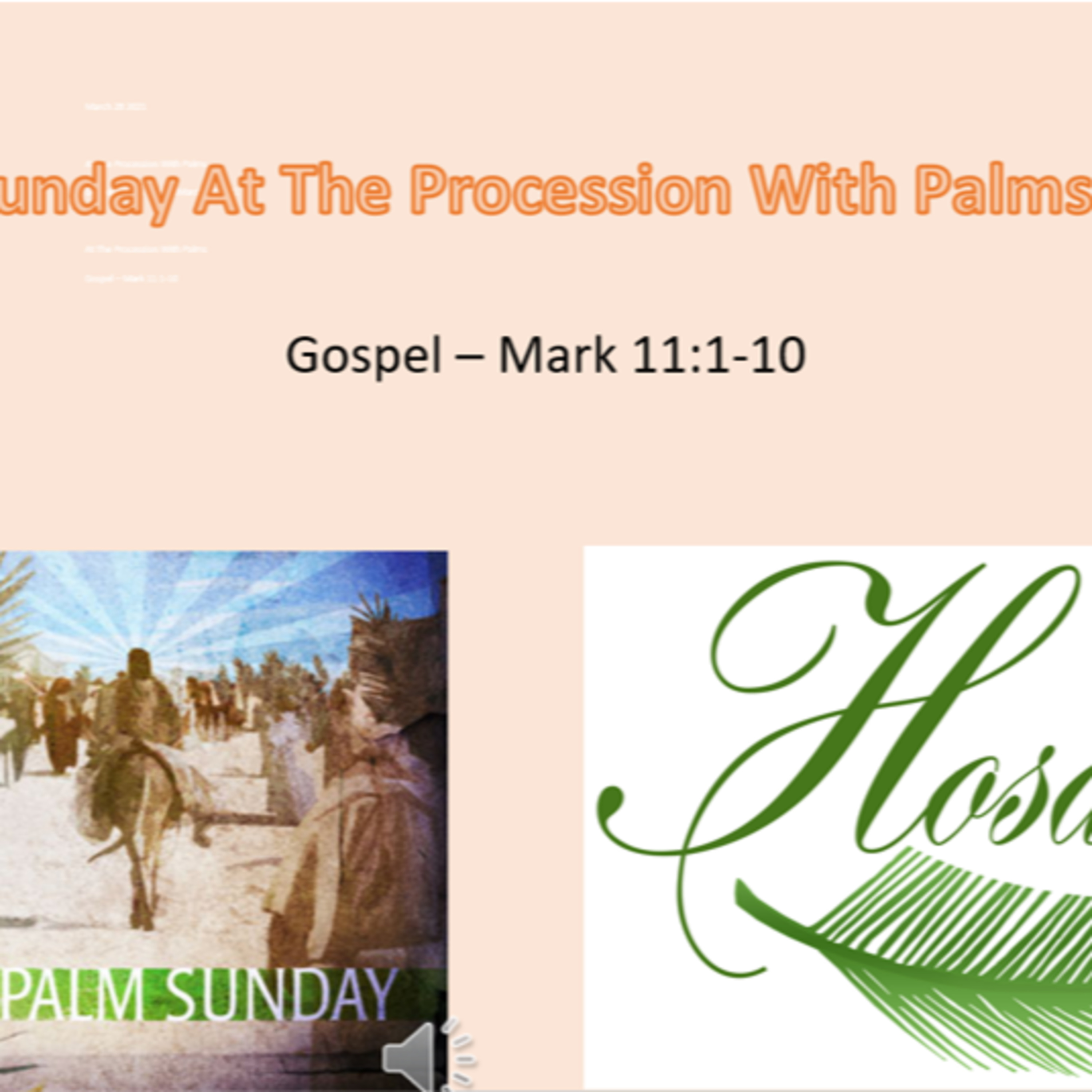Palm Sunday At The Procession With Palms Year B