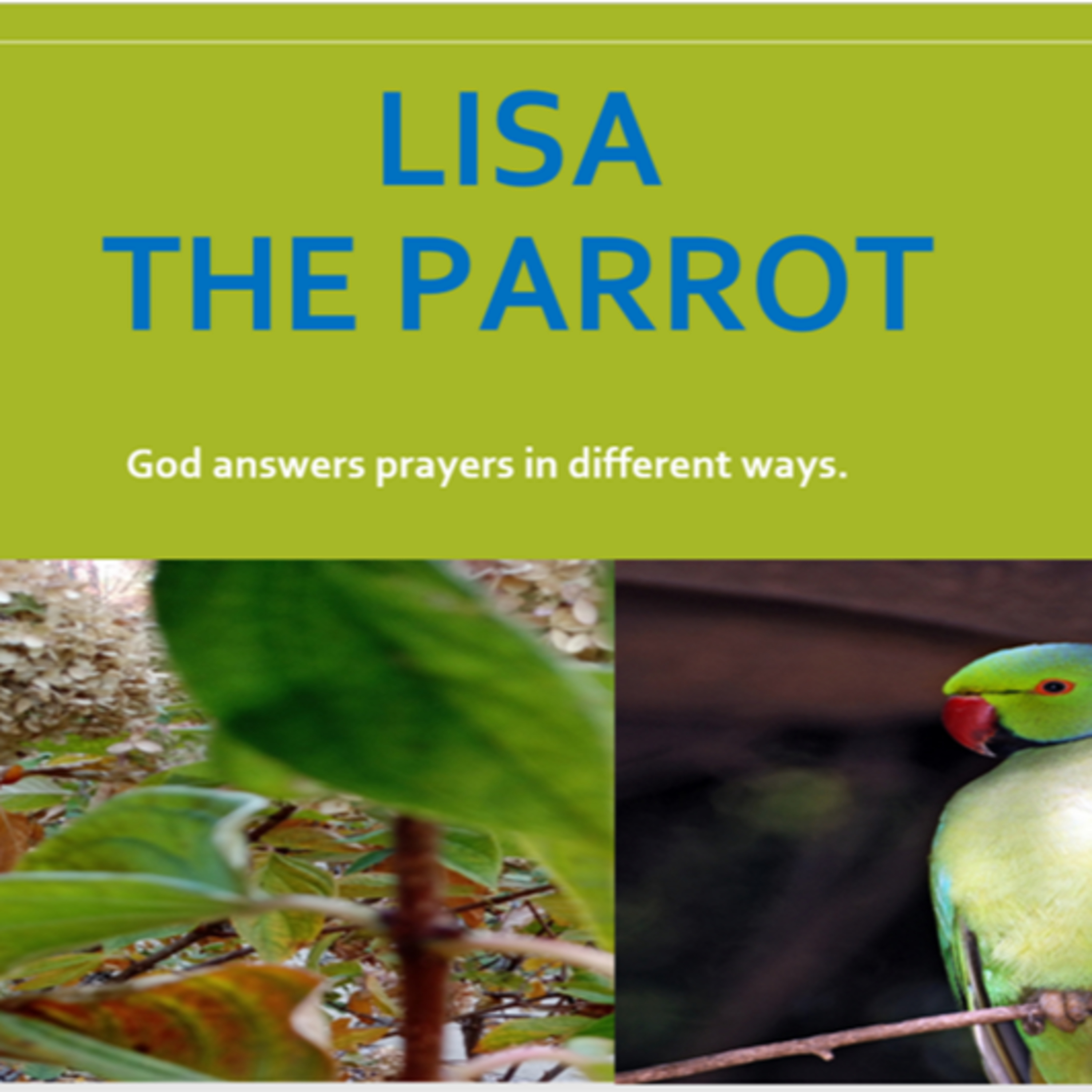 Story Of Lisa The Parrot
