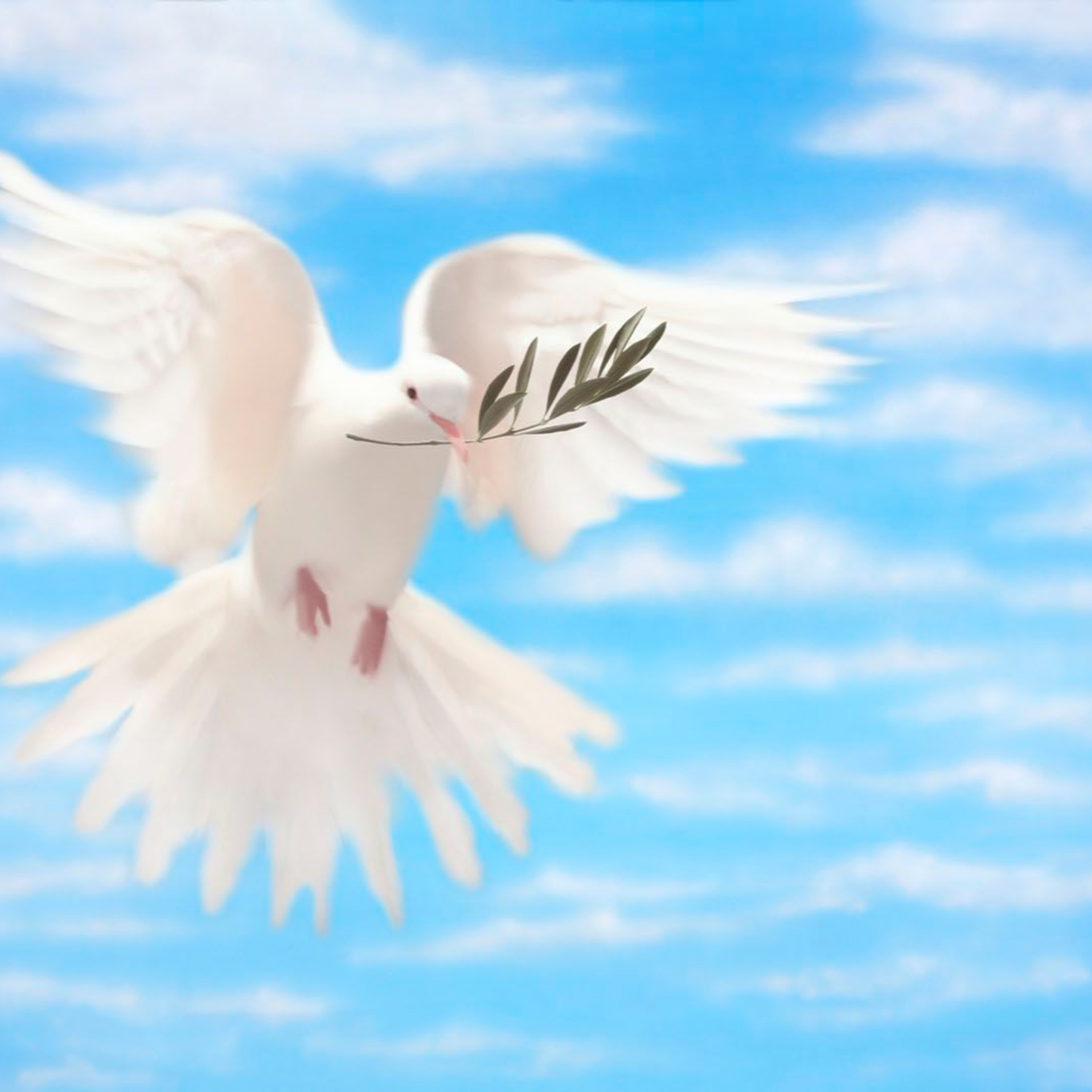 Responsorial Psalm For Pentecost Sunday 2022