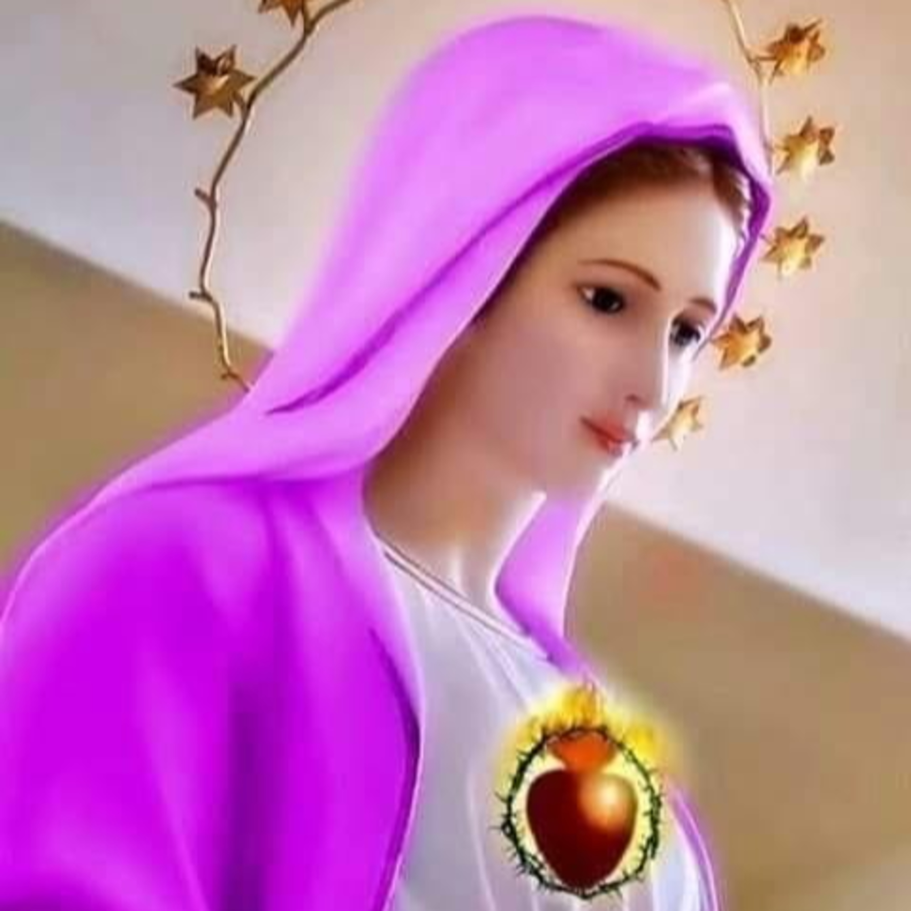 Responsorial Psalm and Gospel For Solemnity of The Assumption of the Blessed Virgin Mary