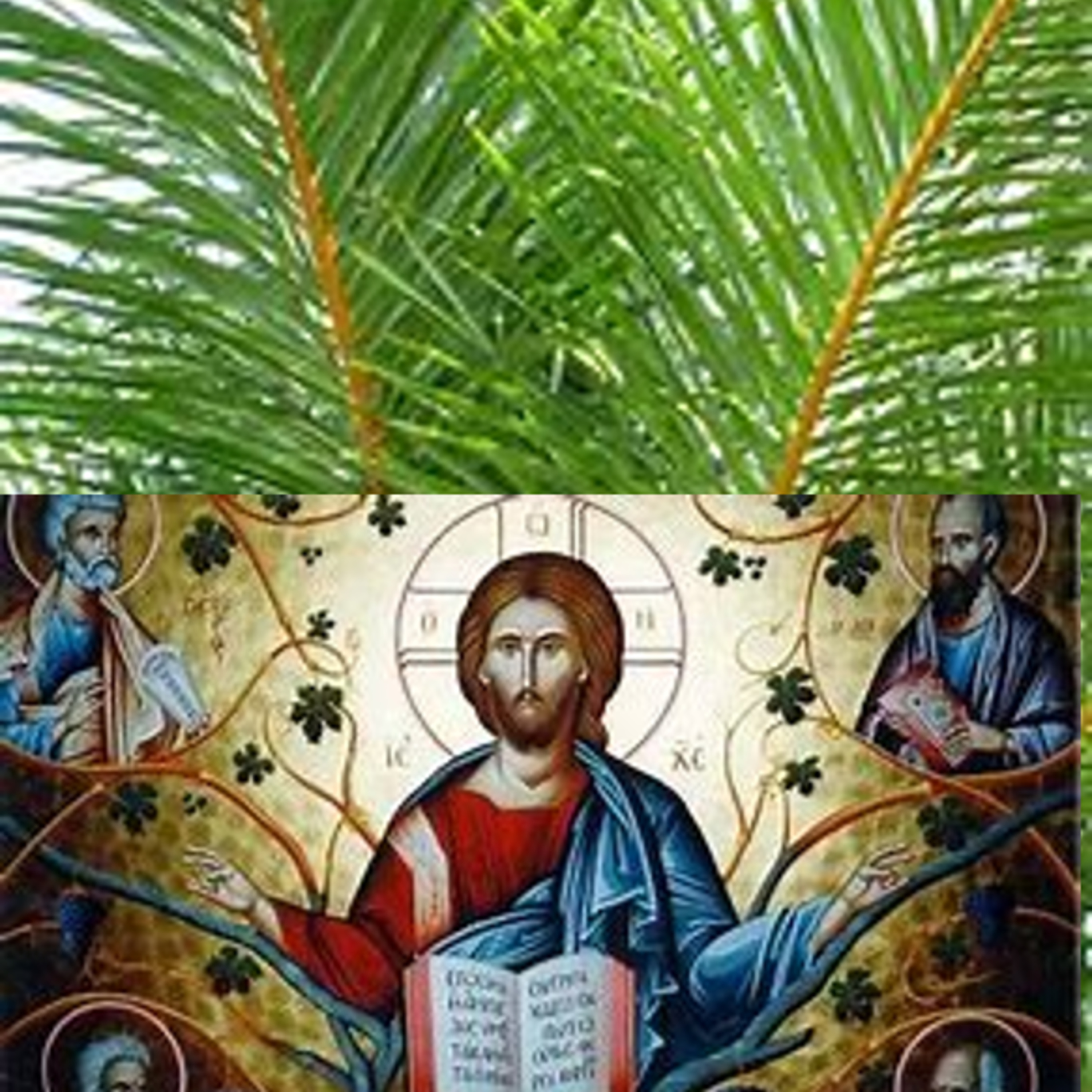 Fifth Sunday of Easter Year B