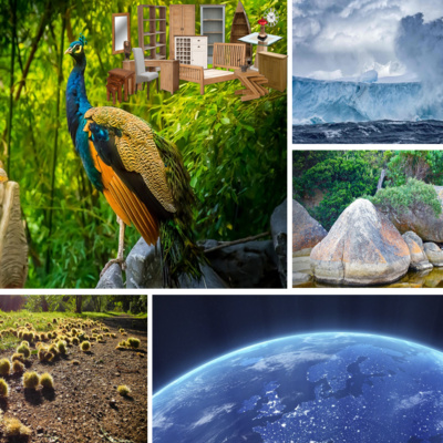Matter And The Environment Revision for Kids 4 Through 12