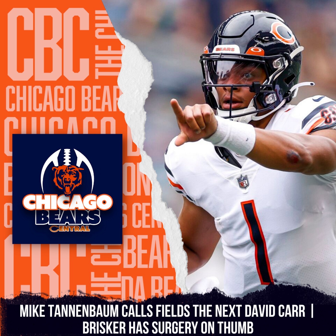 Chicago Bears Central