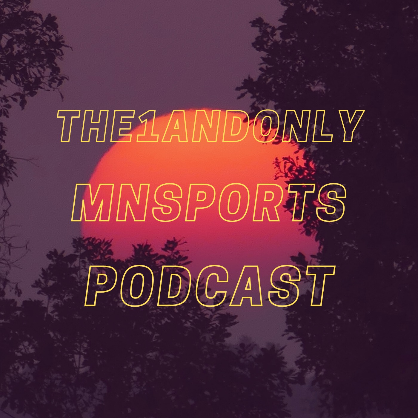 The1AndOnlyMnSportsPodcast