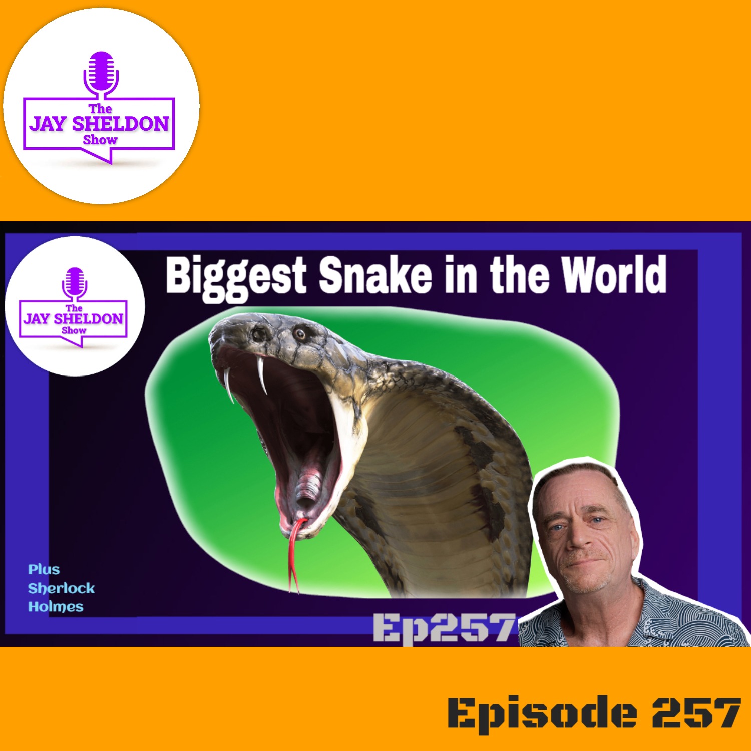 The Jay Sheldon Show