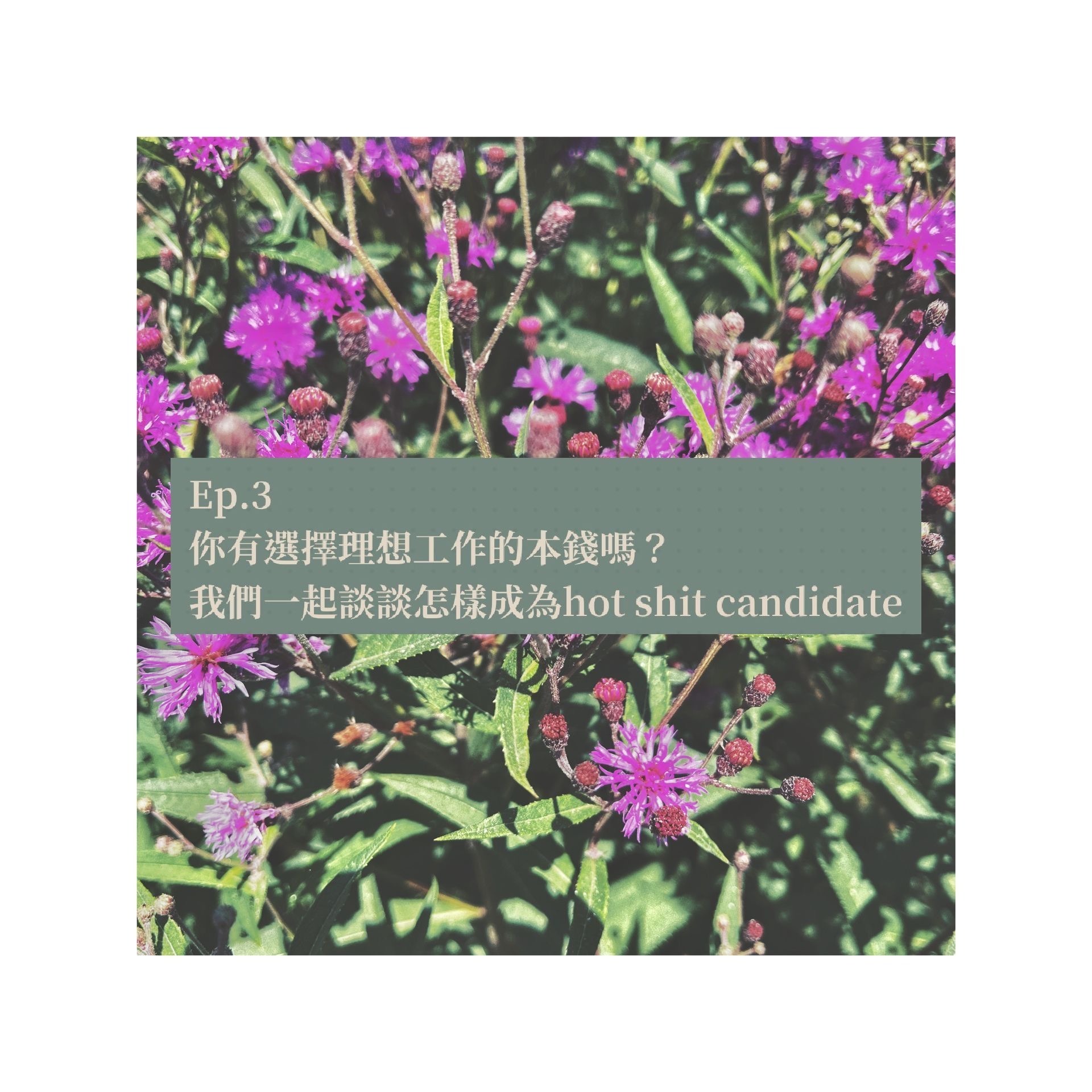 召喚英文系精英與廢青