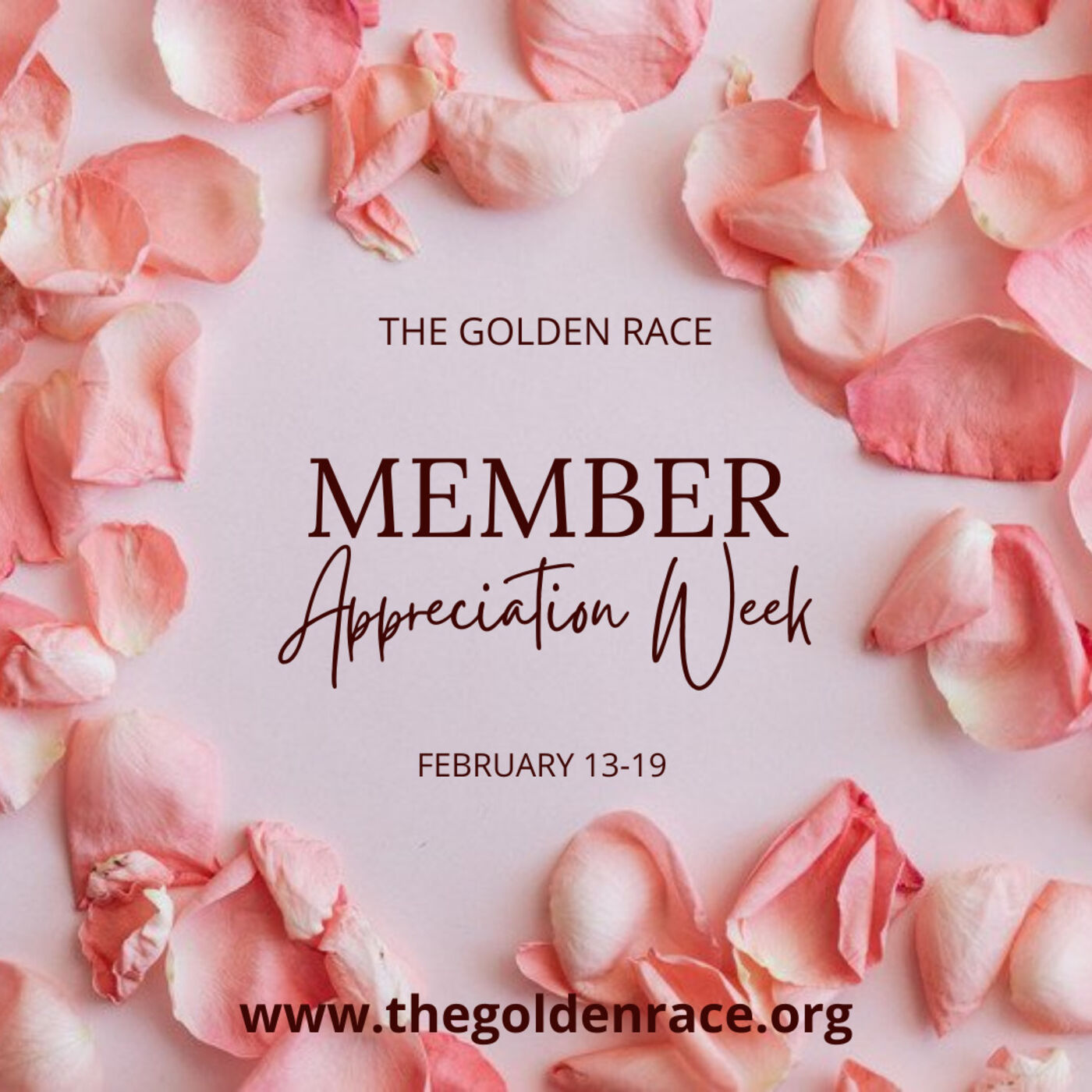 Love is an Action Word