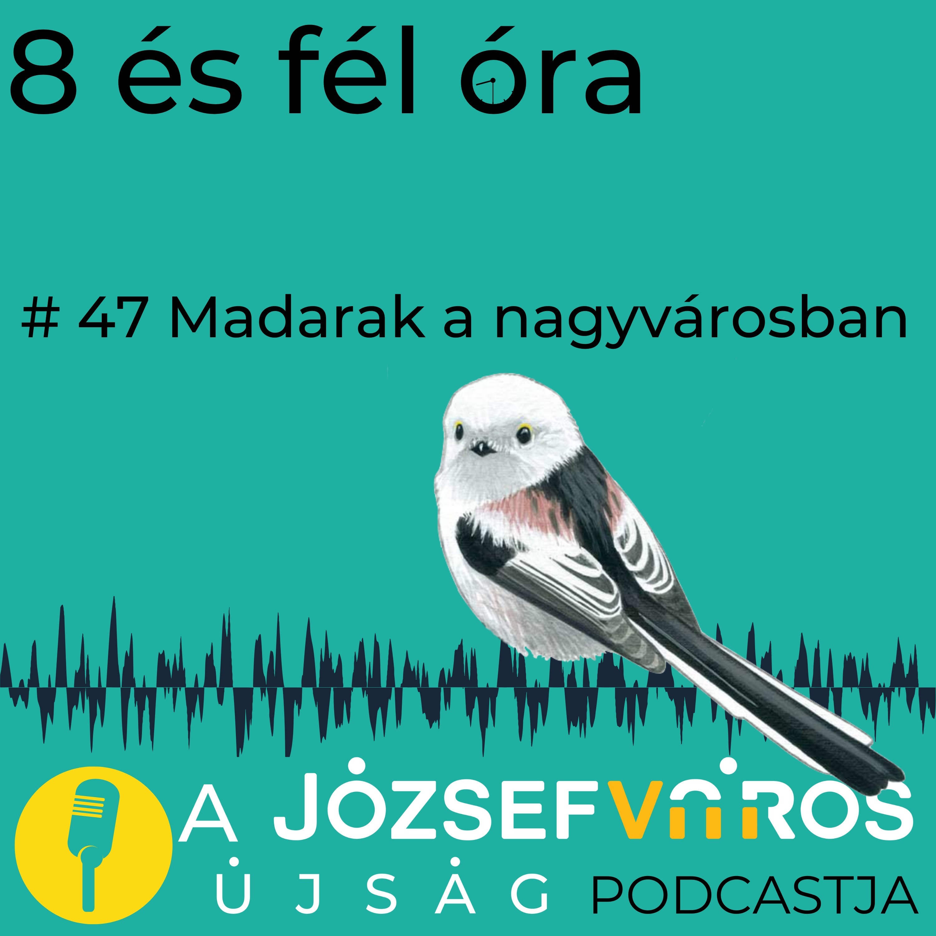 Csakugyan / 8 és fél óra