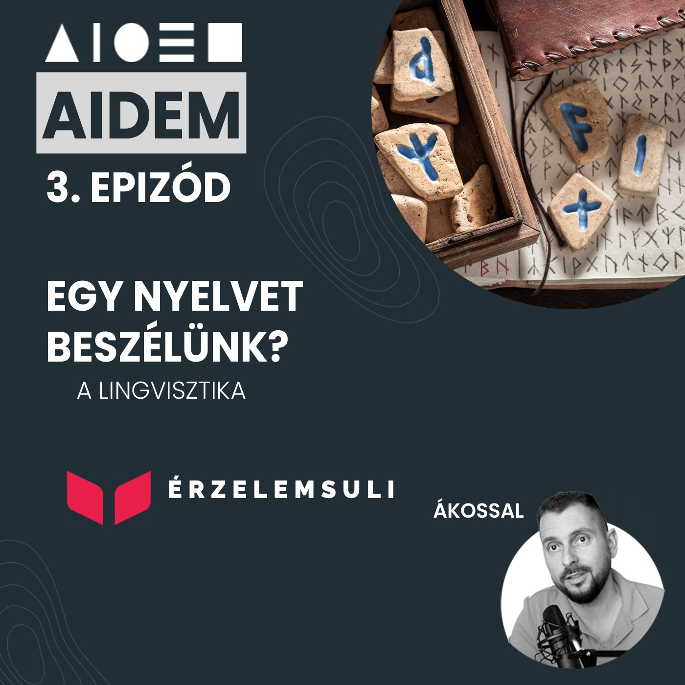 AIDEM 3. epizód: Egy nyelvet beszélünk? episode artwork