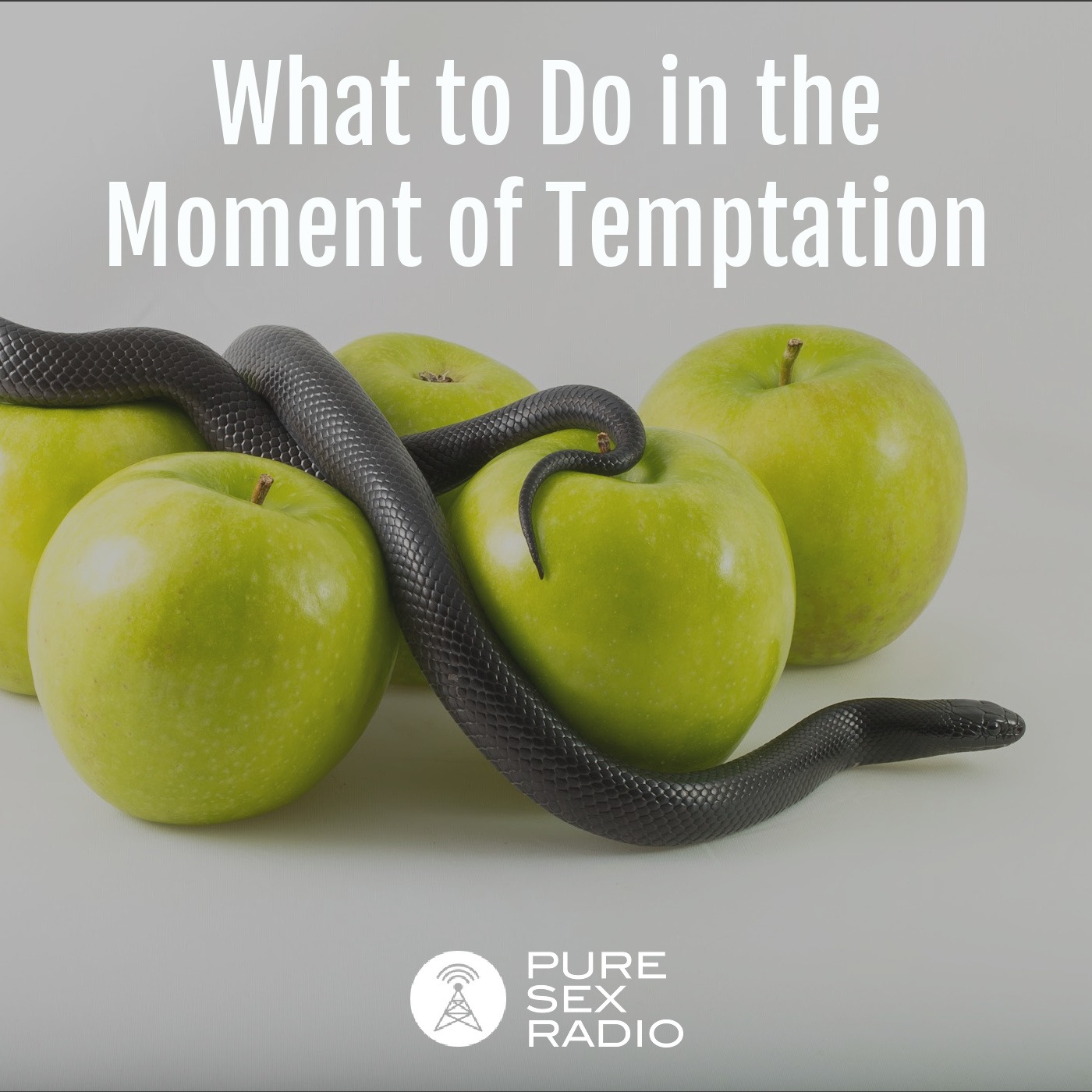 What to Do in the Moment of Temptation