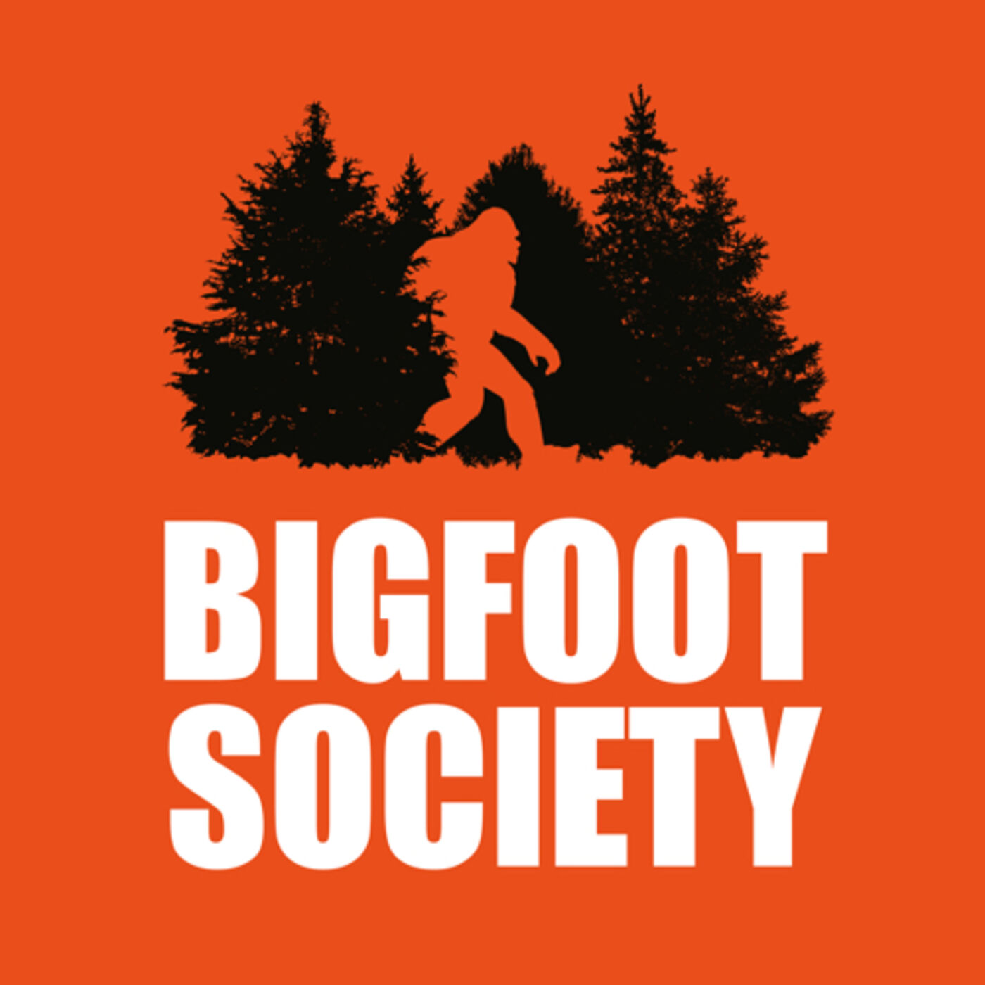 Jeremiah from Bigfoot Society interview Image