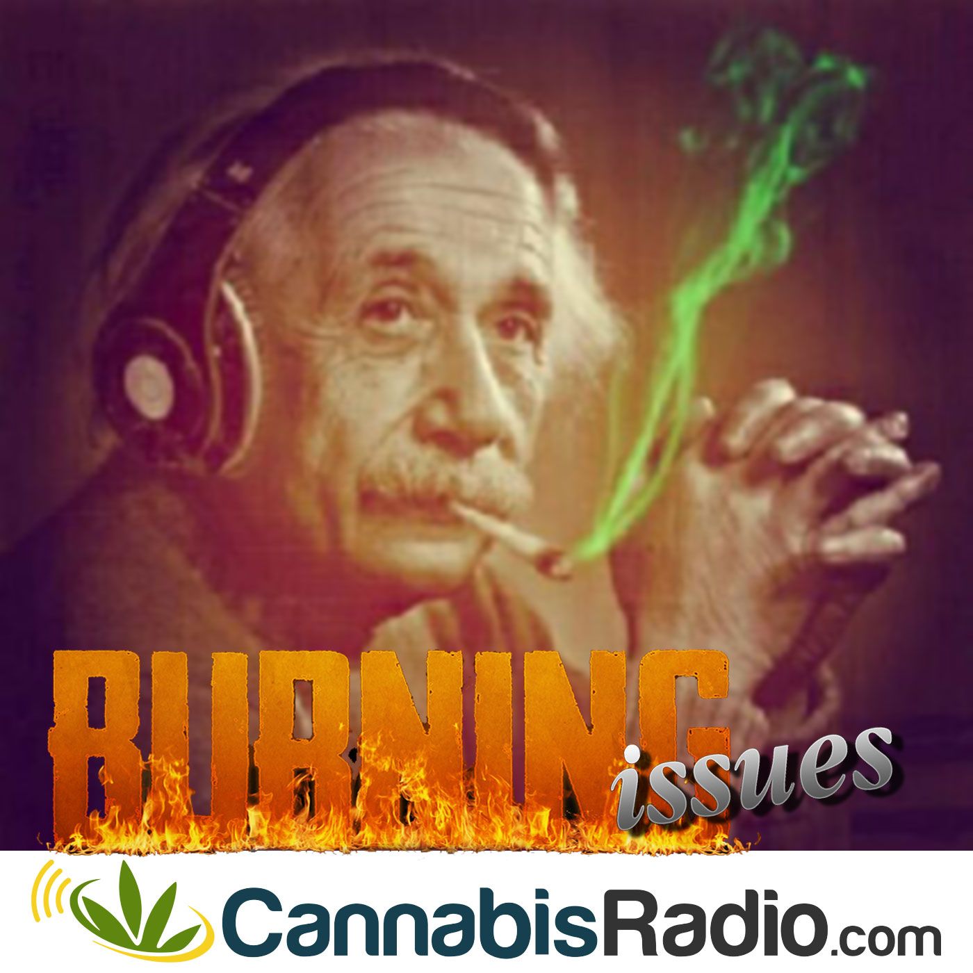 Hempfest: From Call to Action to Cultural Celebration
