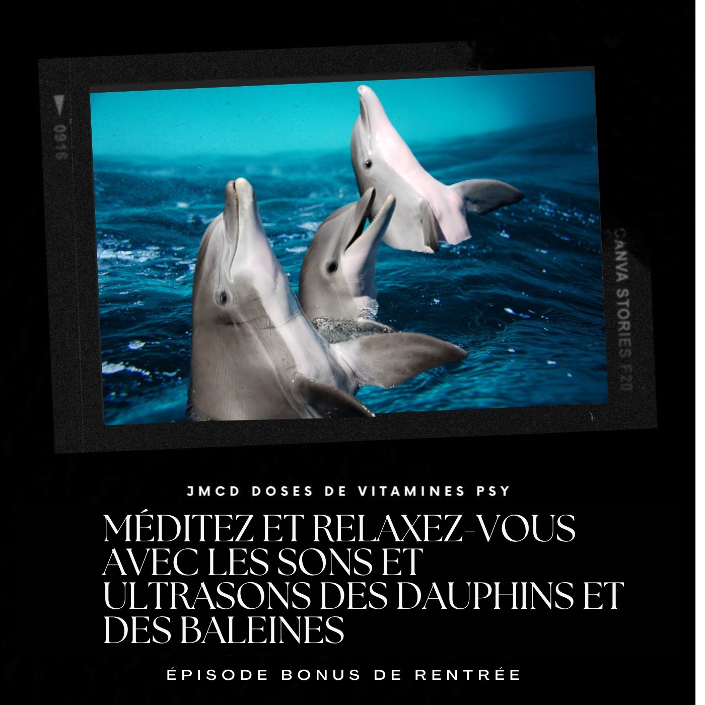 Épisode Bonus de Rentrée: relaxez-vous ou méditez grâce aux ultrasons des baleines et des dauphins episode artwork