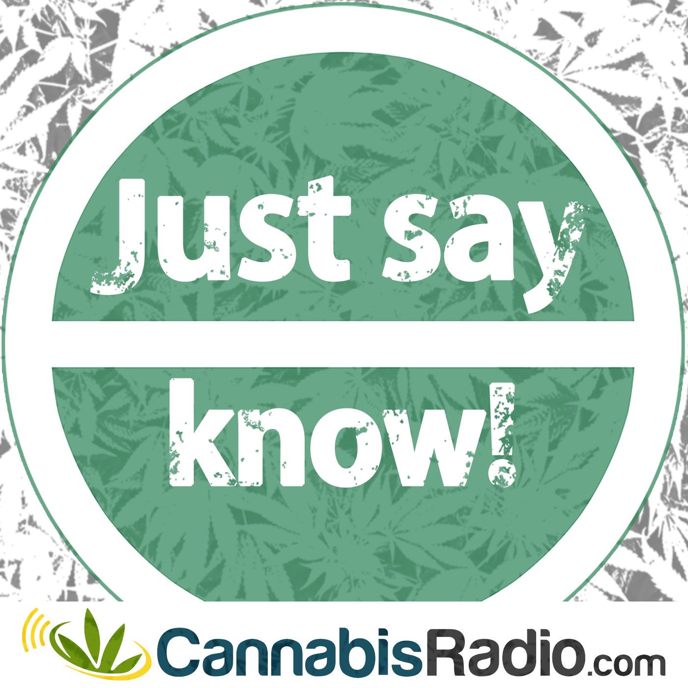 Cannabis and HIV Survival episode artwork