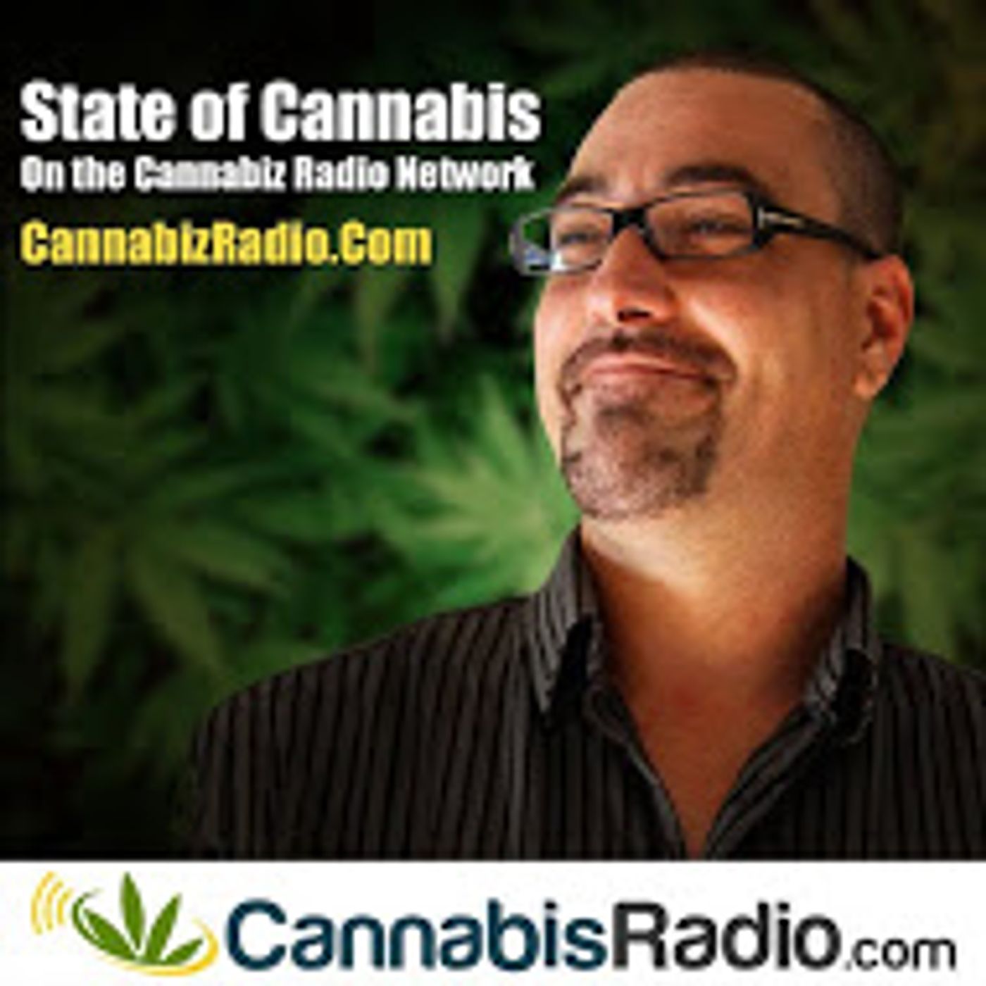 Combat Vets Suffering w/ PTSD: Qualifying Condition for Cann... episode artwork