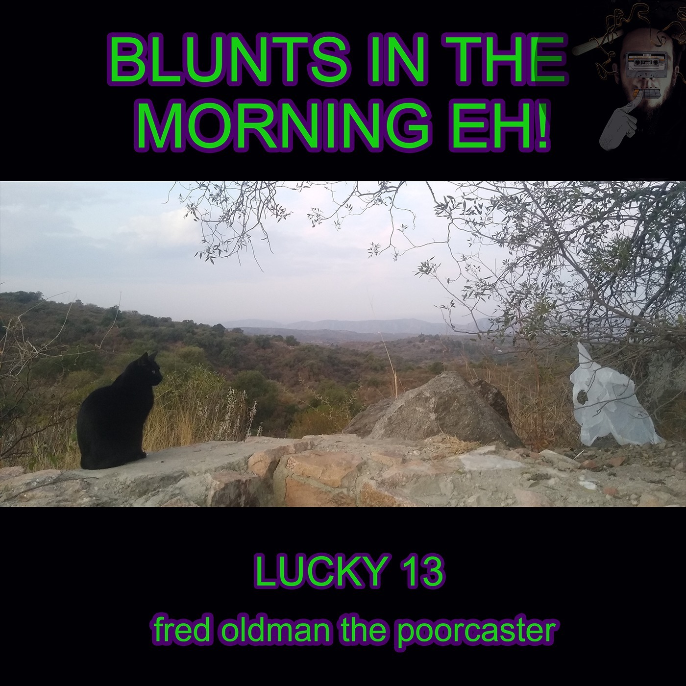 Blunts in the evening