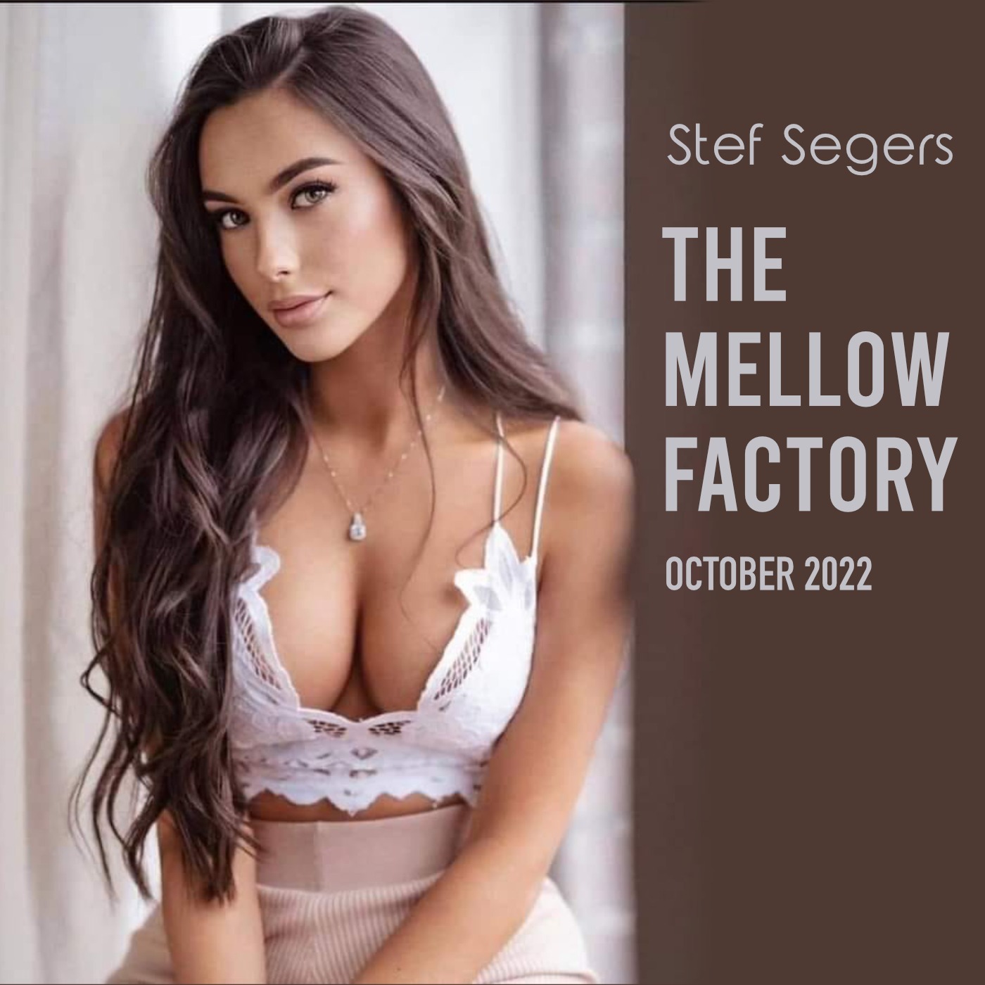 Stef Segers - The Mellow Factory October 2022 episode artwork