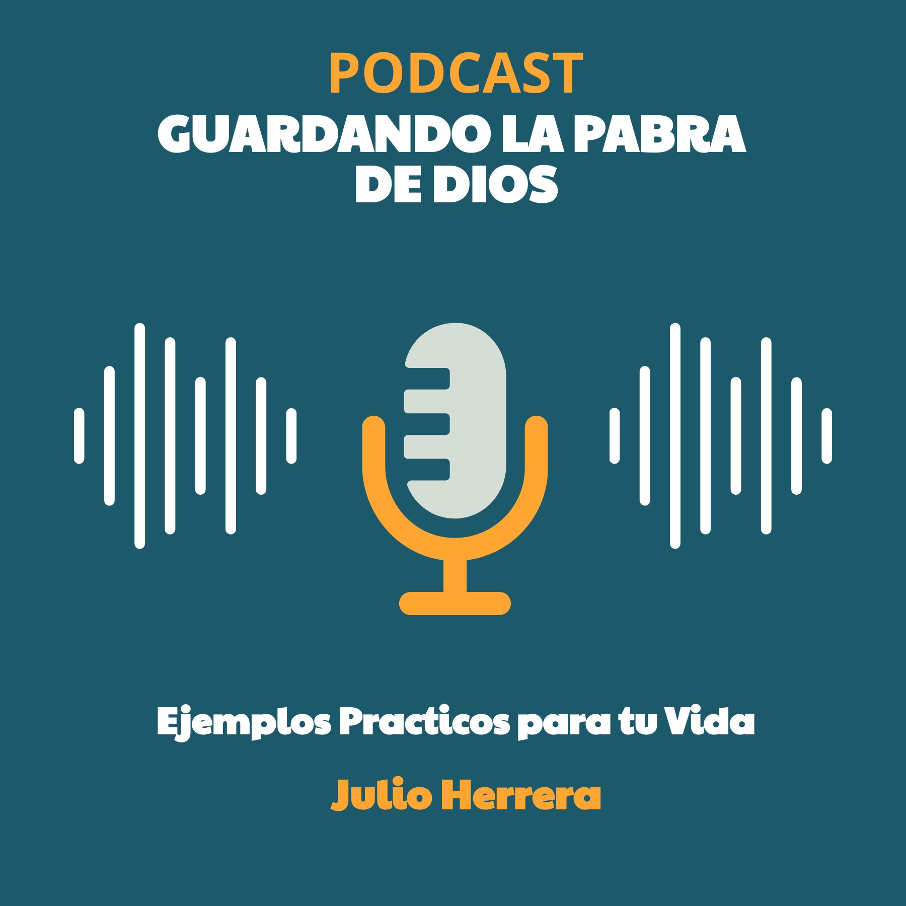 Audio Player Image