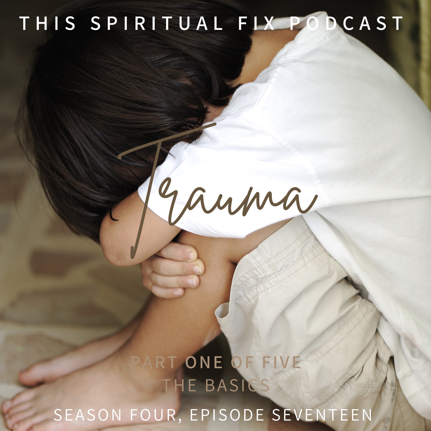 4.17 Trauma: Part One of the Trauma Series