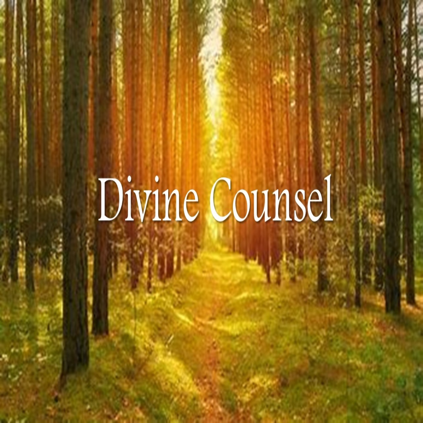 Divine Counsel is Available