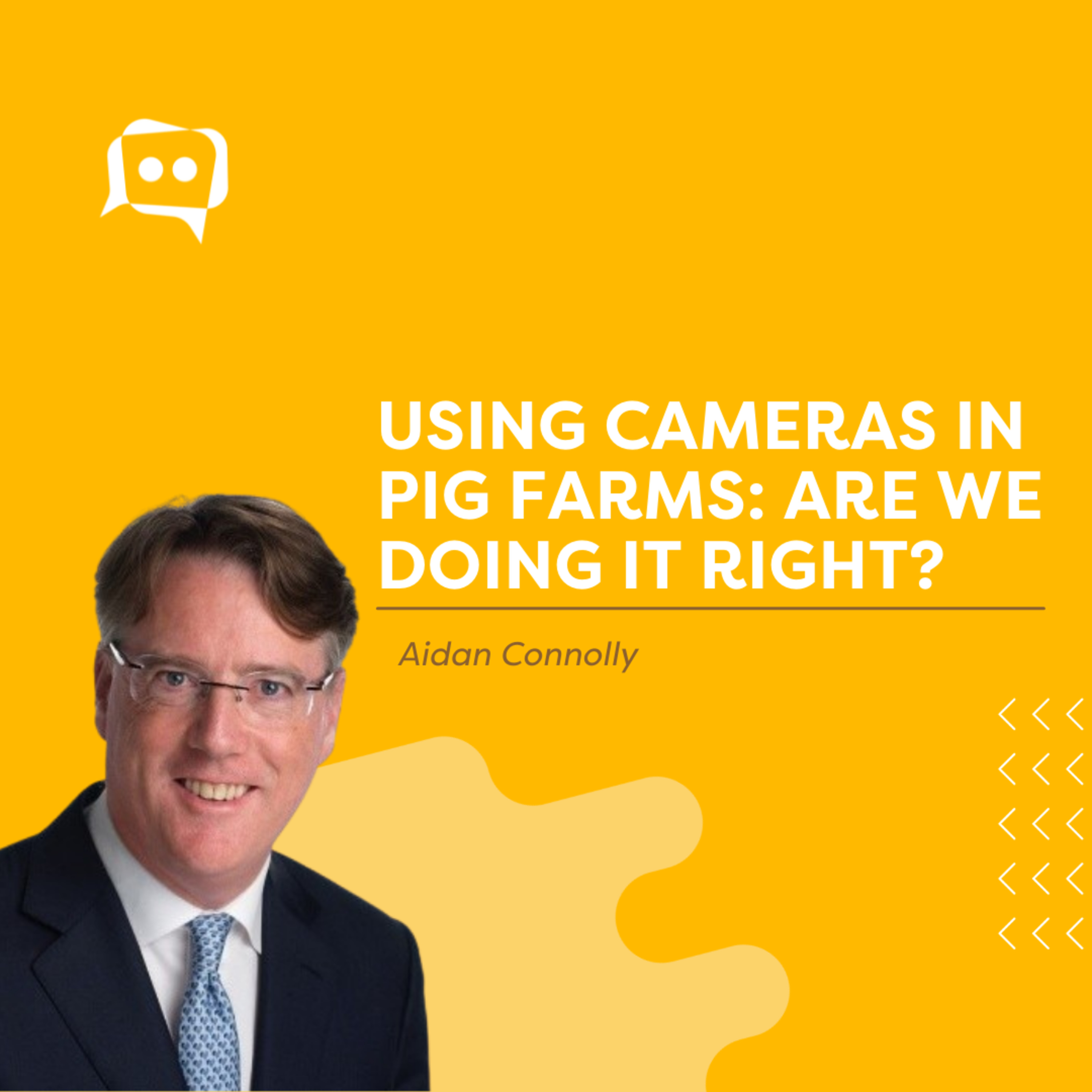 #SHORTS: Using cameras in pig farms: are we doing it right? With Aidan Connolly