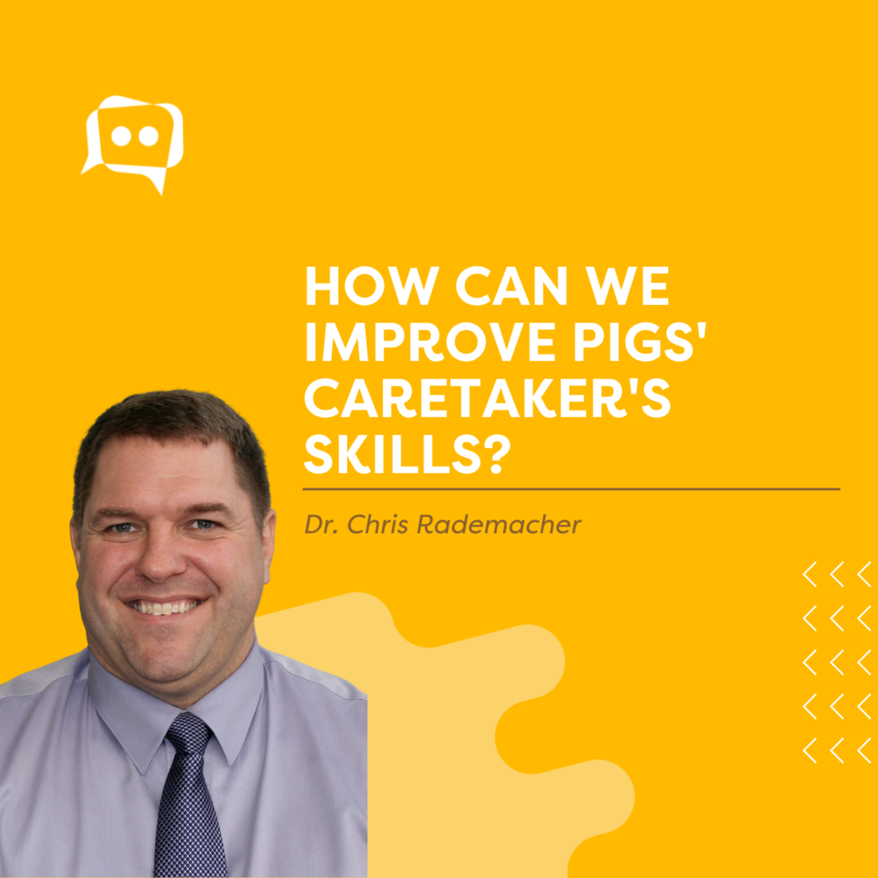 #SHORTS: How can we improve pigs' caretaker's skills? episode artwork