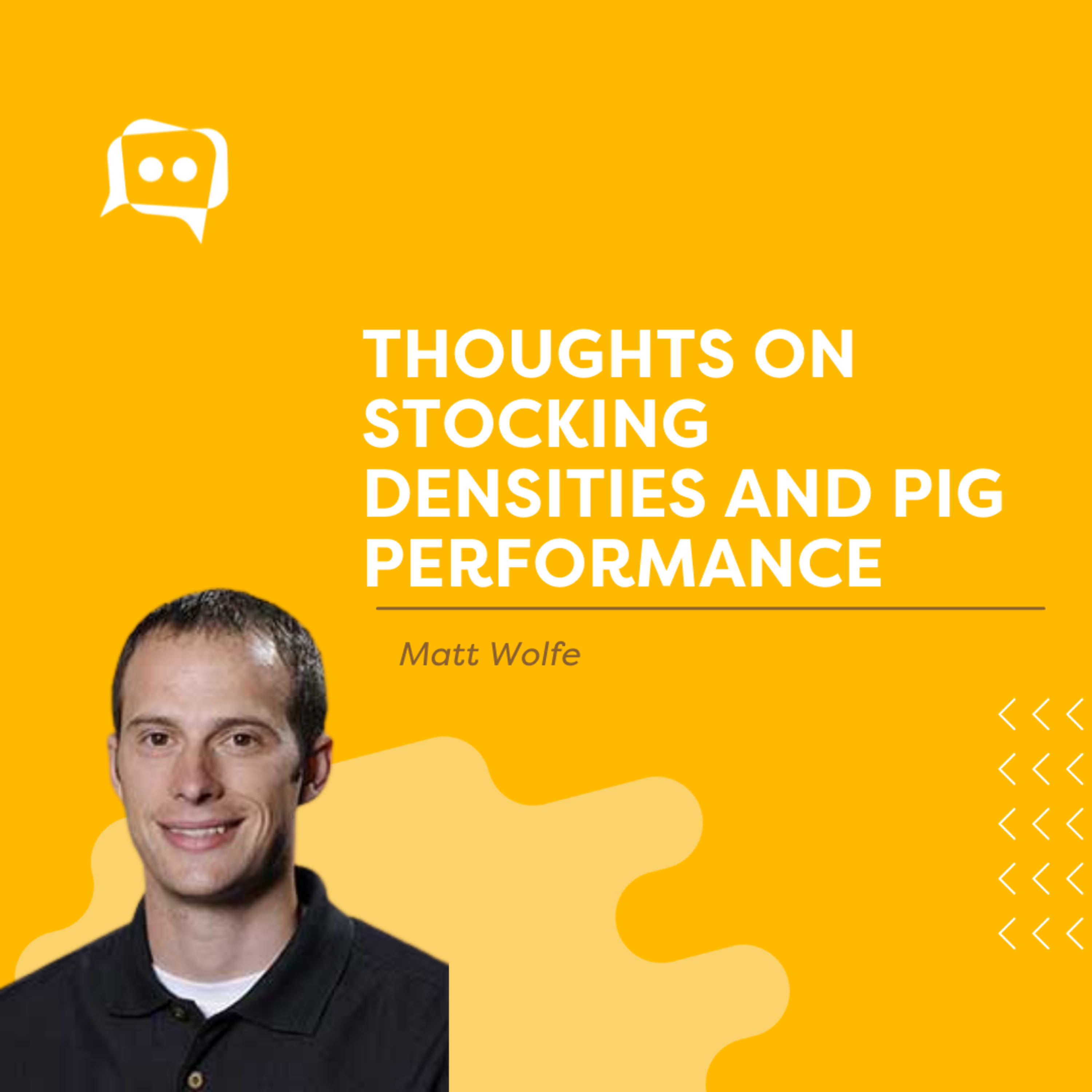 #SHORTS: Thoughts on stocking densities and pig performance, with Matt Wolfe