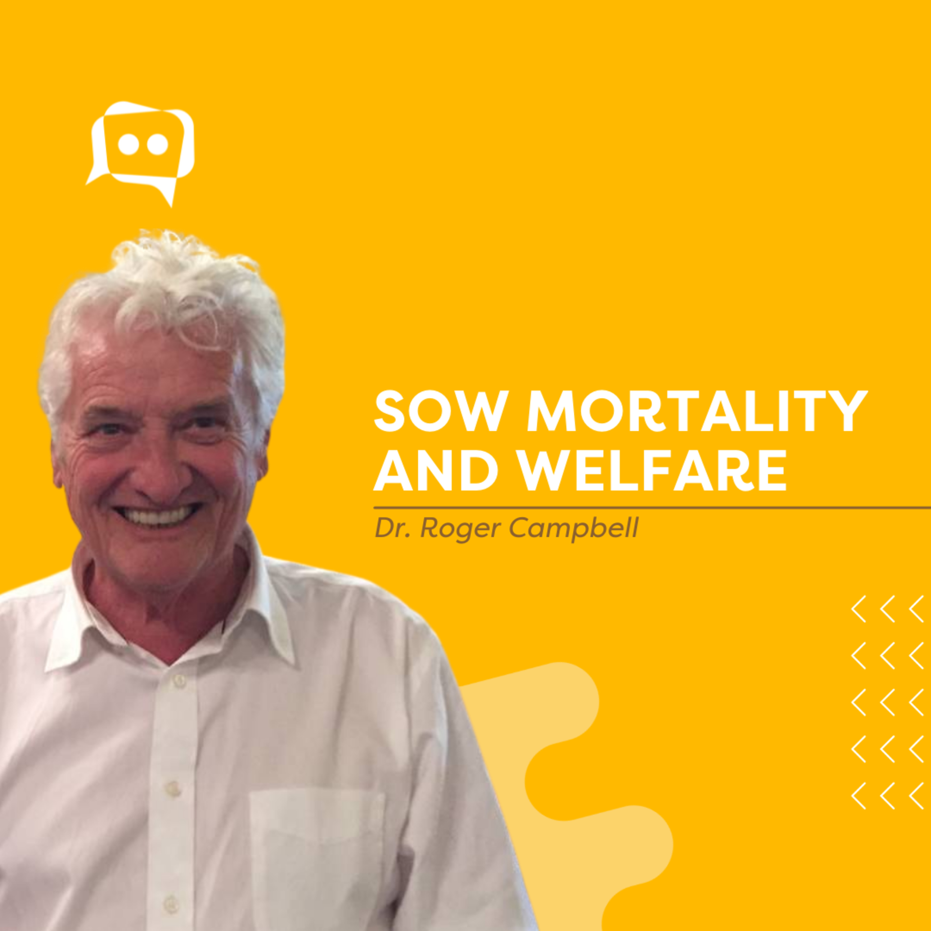 #SHORTS: Sow mortality and welfare, with Dr. Roger Campbell