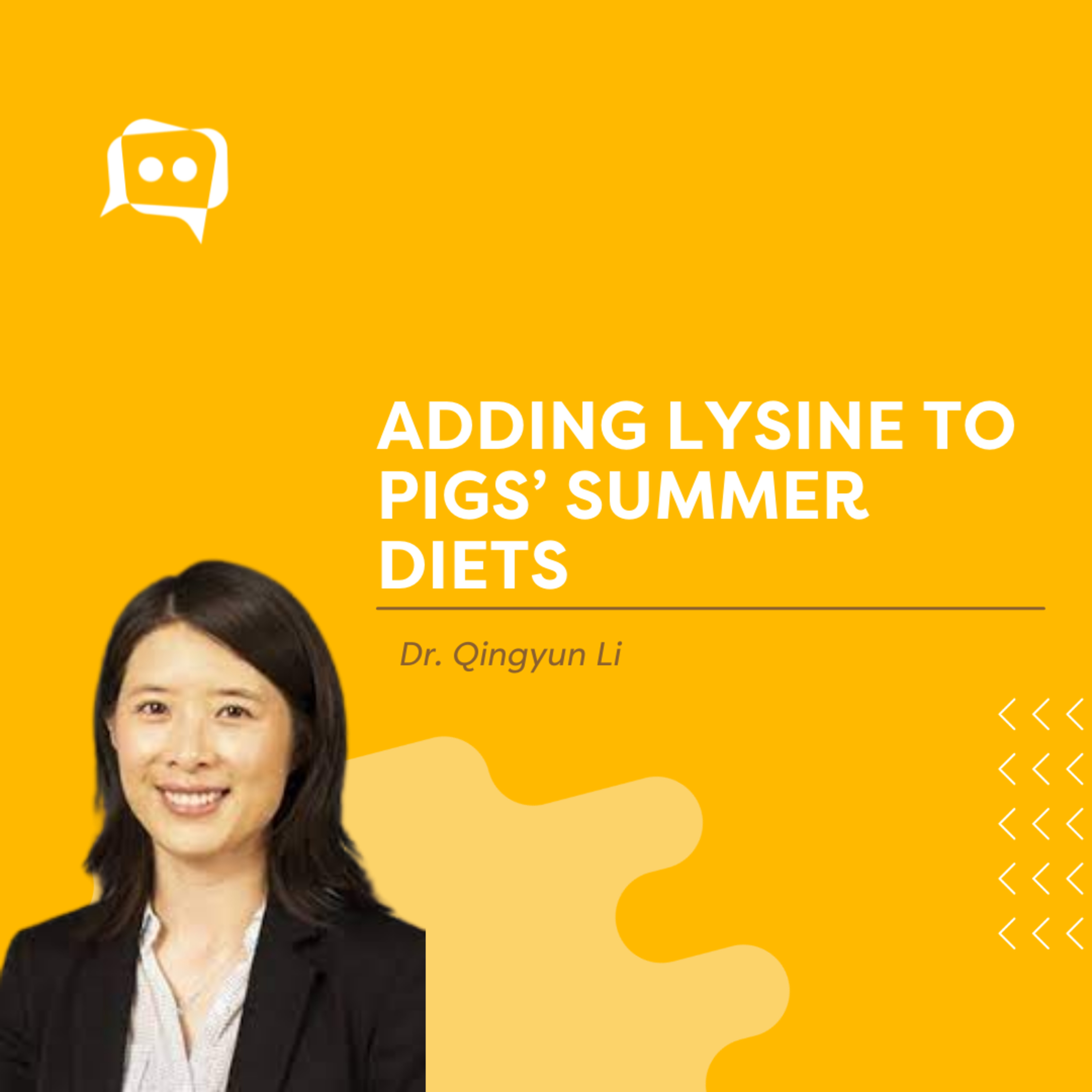 #SHORTS: Adding lysine to pigs’ summer diets, with Dr. Qingyun Li
