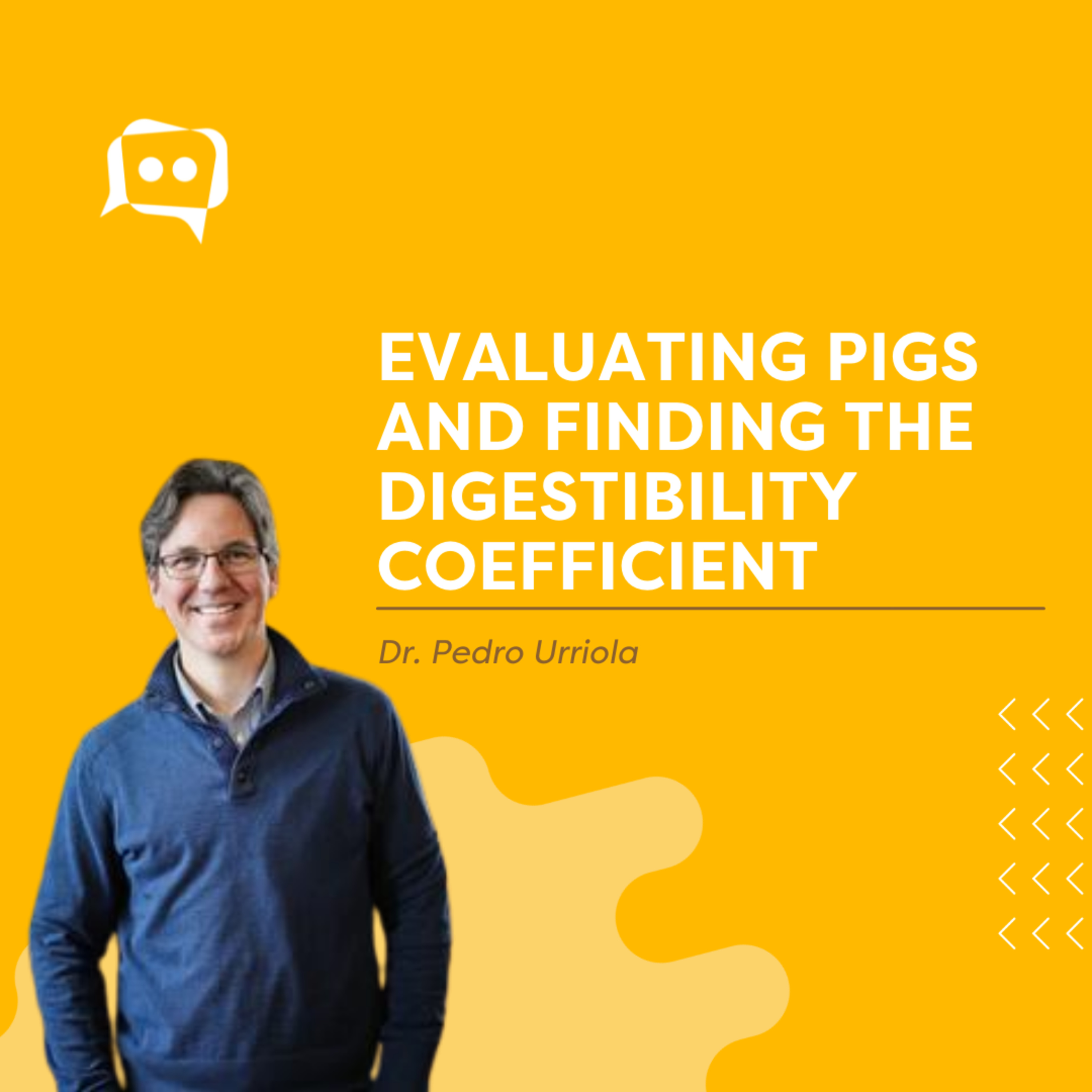 #SHORTS: Evaluating pigs and finding the digestibility coefficient, with Dr. Pedro Urriola
