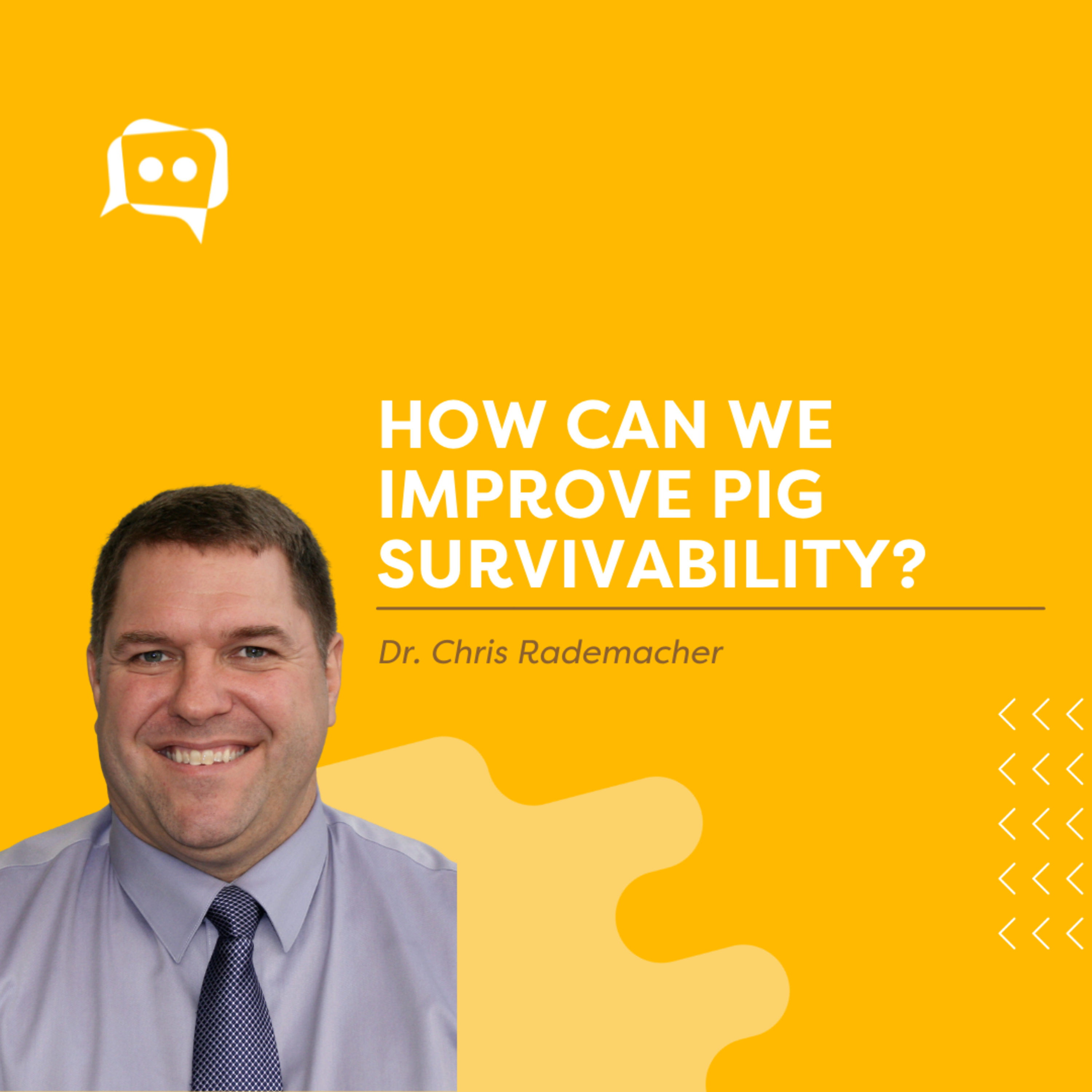 #SHORTS: How can we improve pig survivability? episode artwork