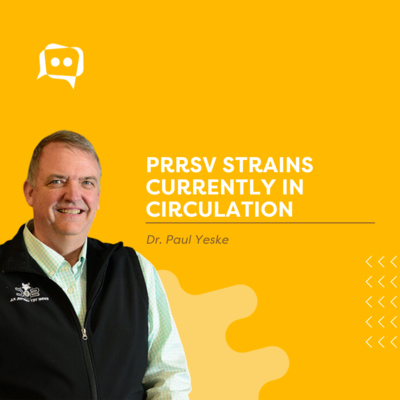 #SHORTS: PRRSV strains currently in circulation, with Dr. Paul Yeske episode artwork
