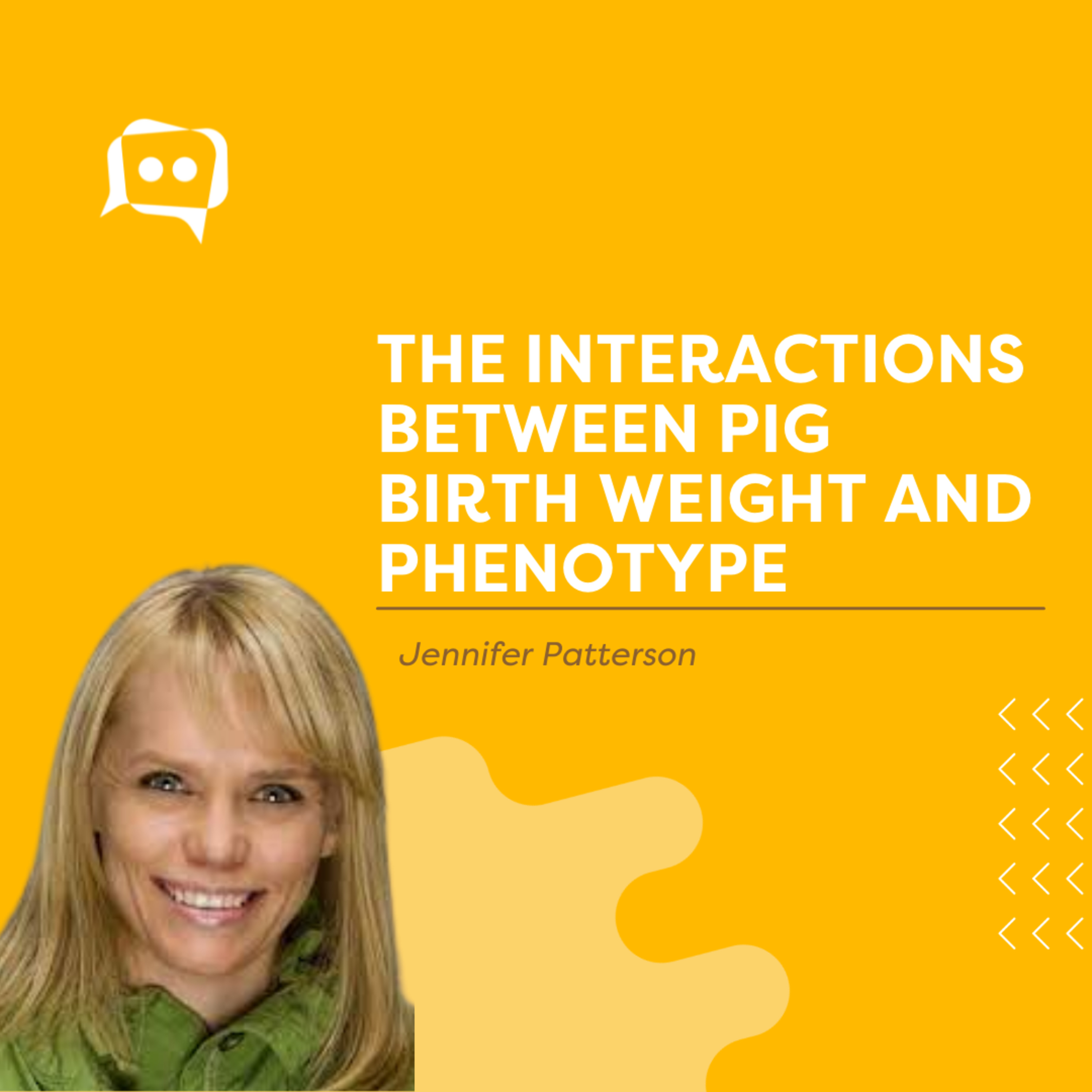 #SHORTS: The interactions between pig birth weight and phenotype, with Jennifer Patterson