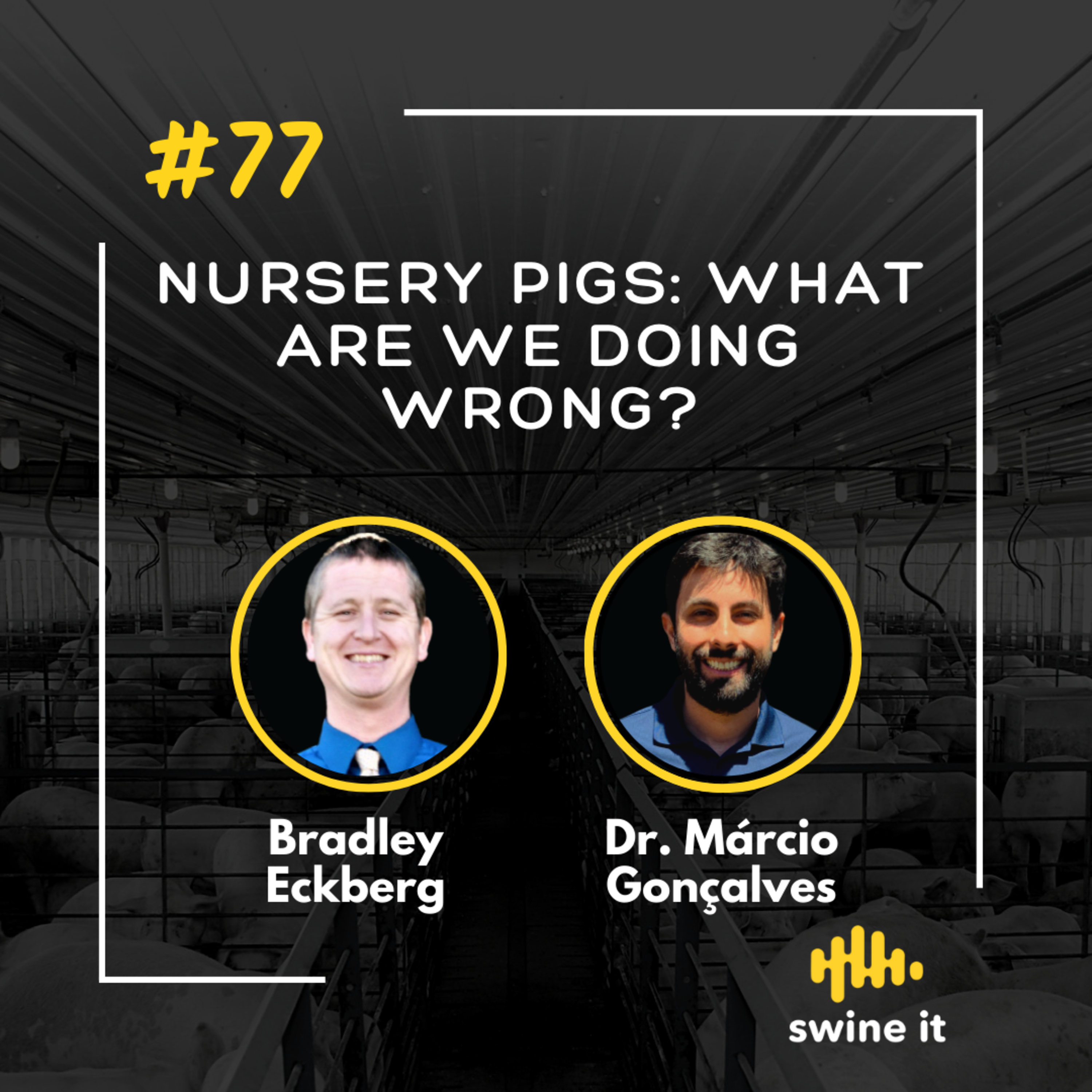 Bradley Eckberg: Nursery Pig Issues | Ep. 77